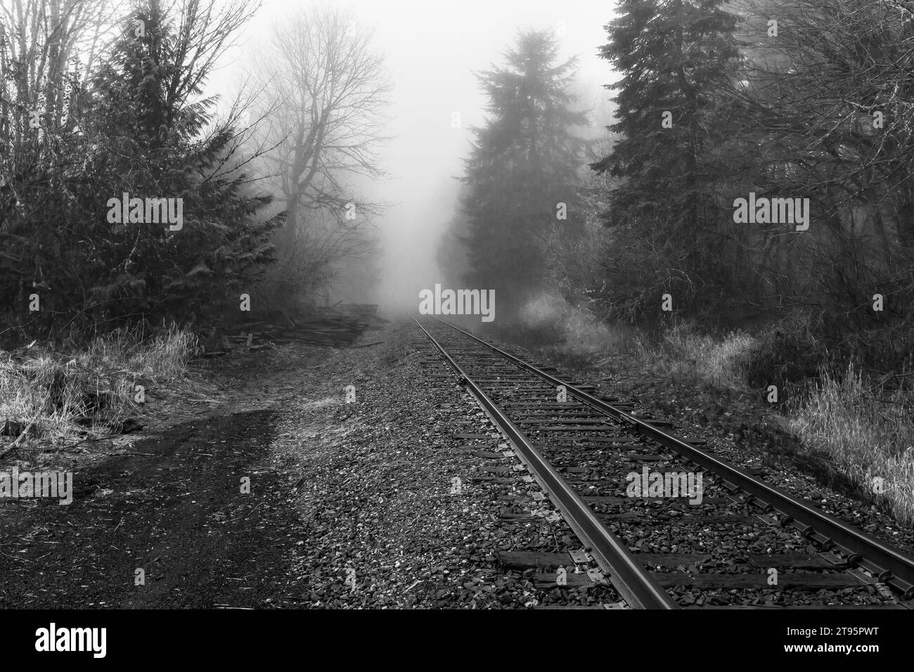 Tracks of the Puget Sound & Pacific Railroad in der Nähe von Shelton, Olympic Peninsula, WA, USA [keine Veröffentlichung des Eigentums; nur redaktionelle Lizenzierung] Stockfoto