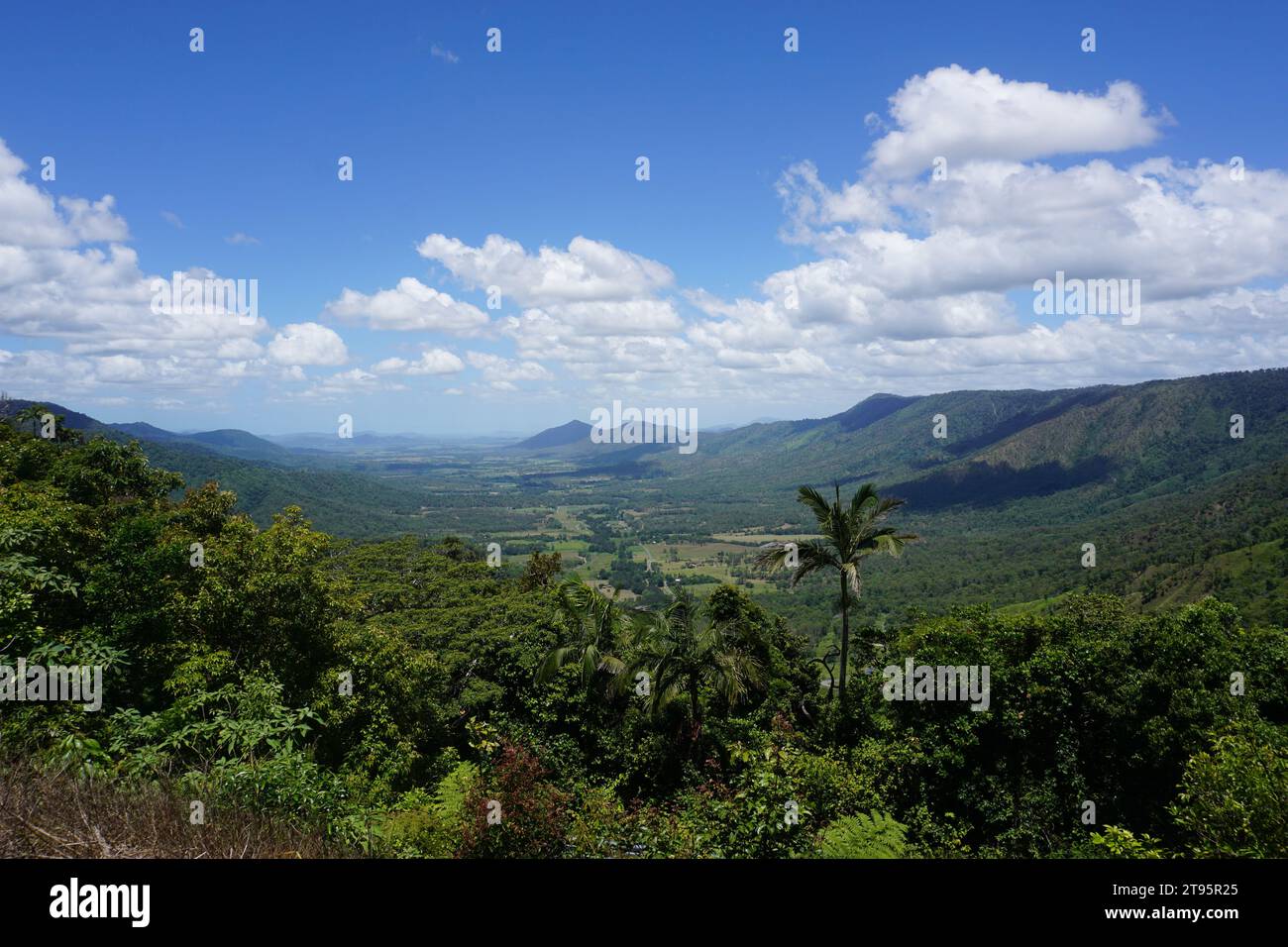 Blick vom Goodes Lookout bei Eungella im Eungella National Park, Queensland, Australien Stockfoto