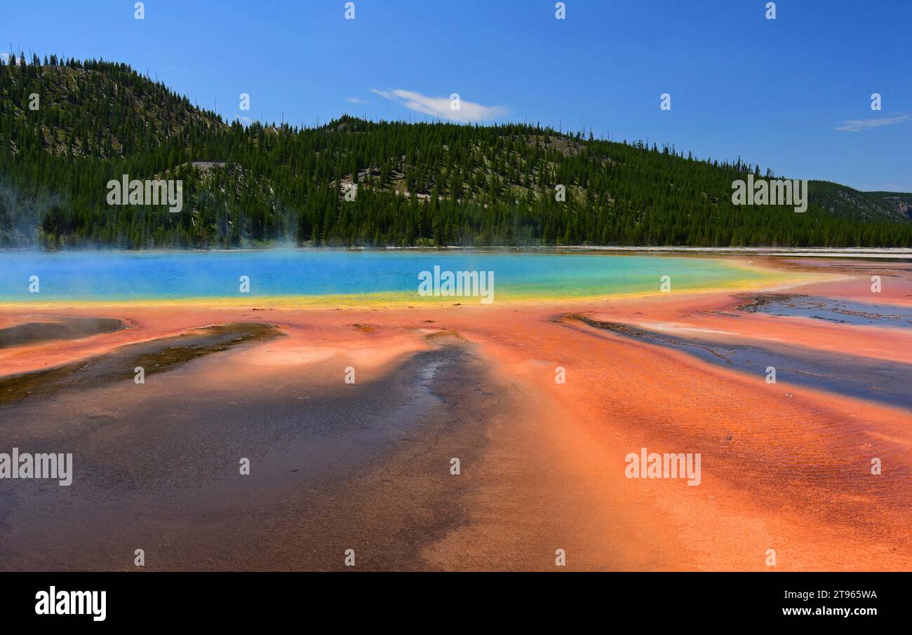 Die sehr bunte große prismatische Quelle und mikrobielle Matte an einem sonnigen Tag im yellowstone-Nationalpark, wyoming Stockfoto