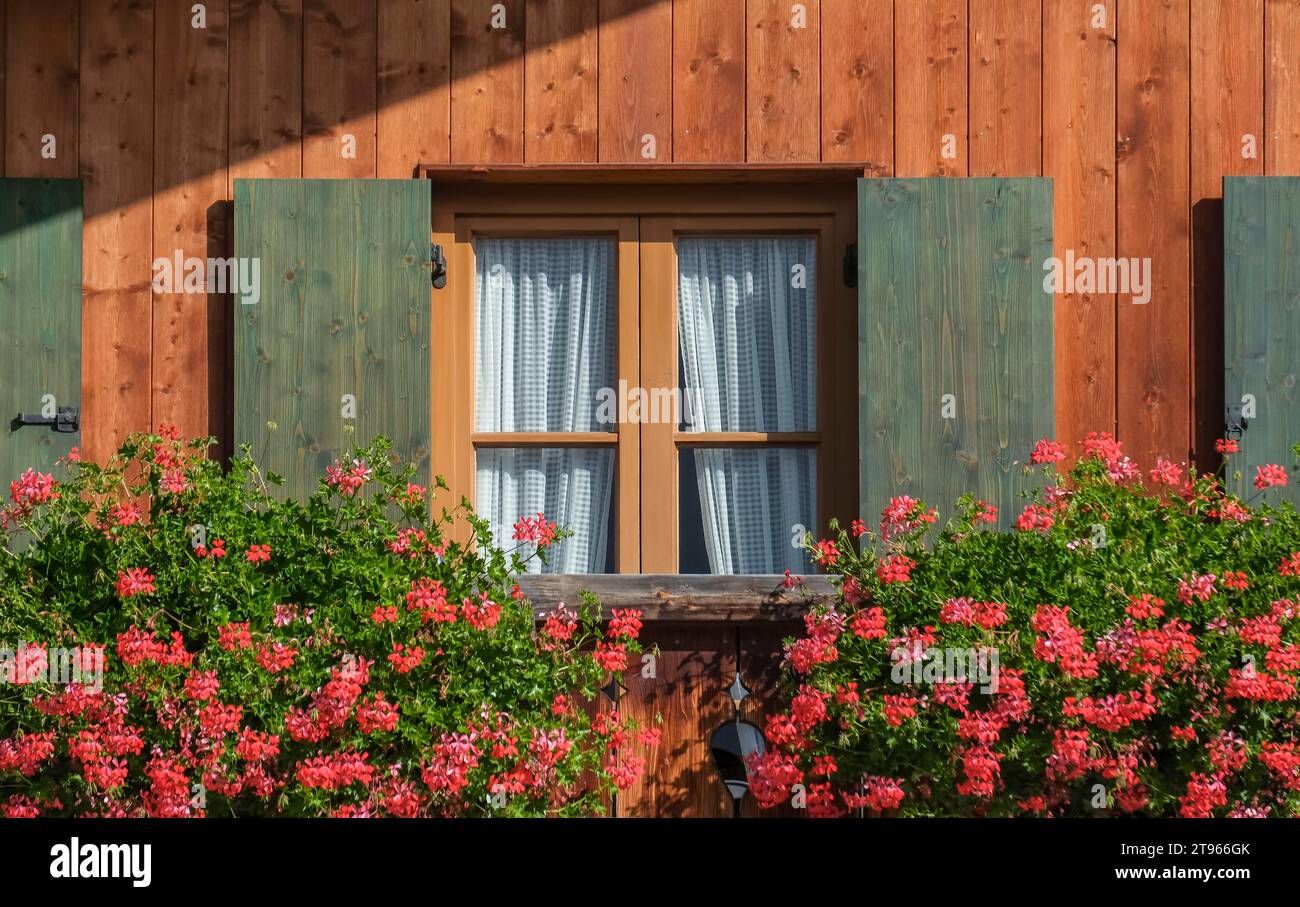 Fenster mit grünen Fensterläden und Geranien, Holzhaus, Grainau, Bayern, Deutschland Stockfoto