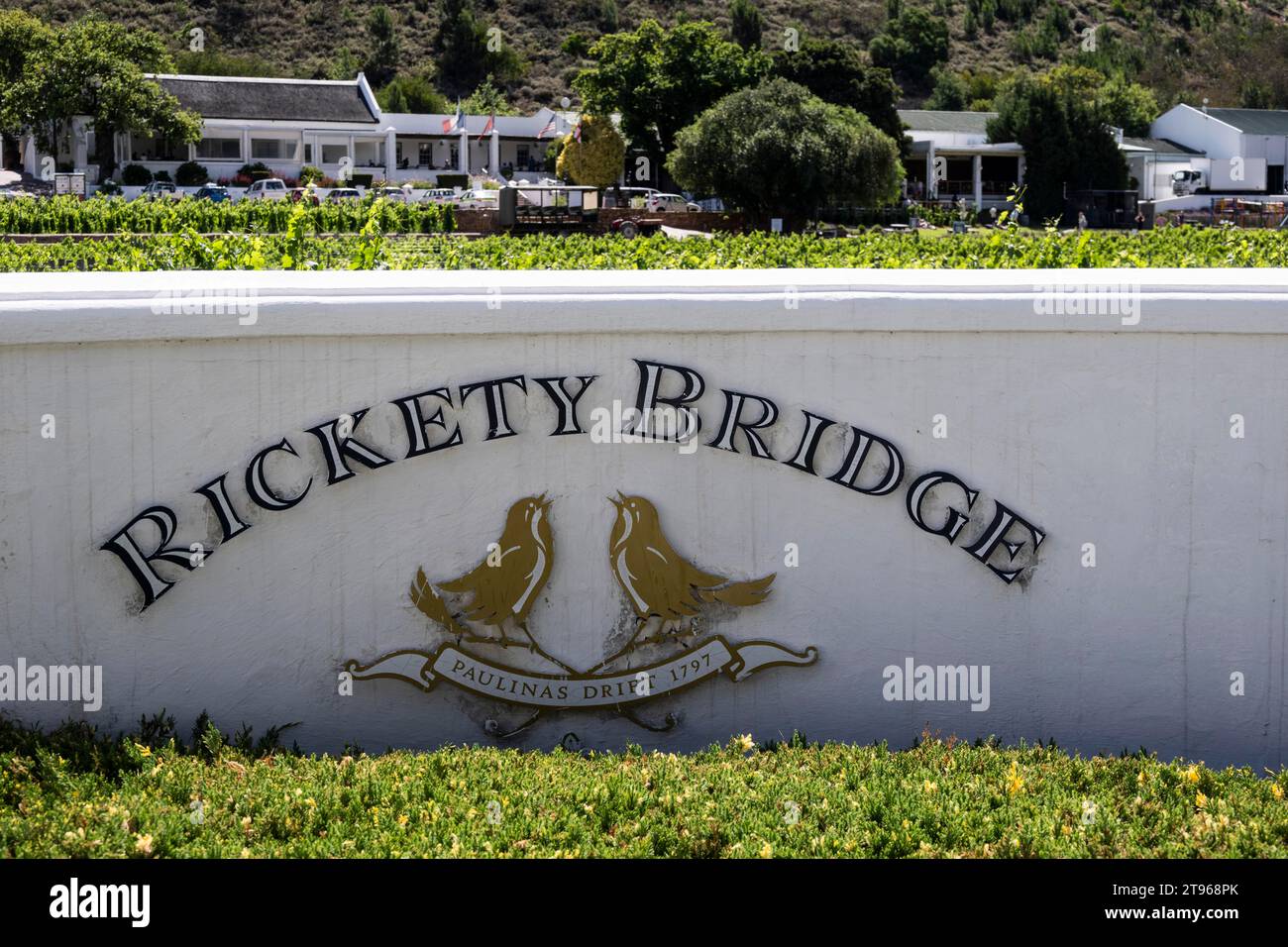 Rickety Bridge, Weingut, Franshoek, Westkap, Südafrika Stockfoto