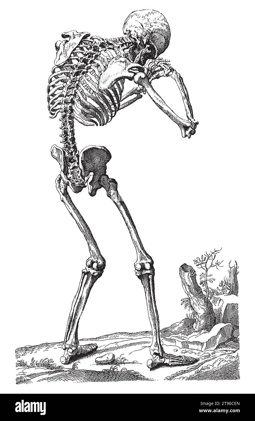 Vektor-Illustration eines betenden menschlichen Skeletts im Vintage-Gravurstil Stock Vektor