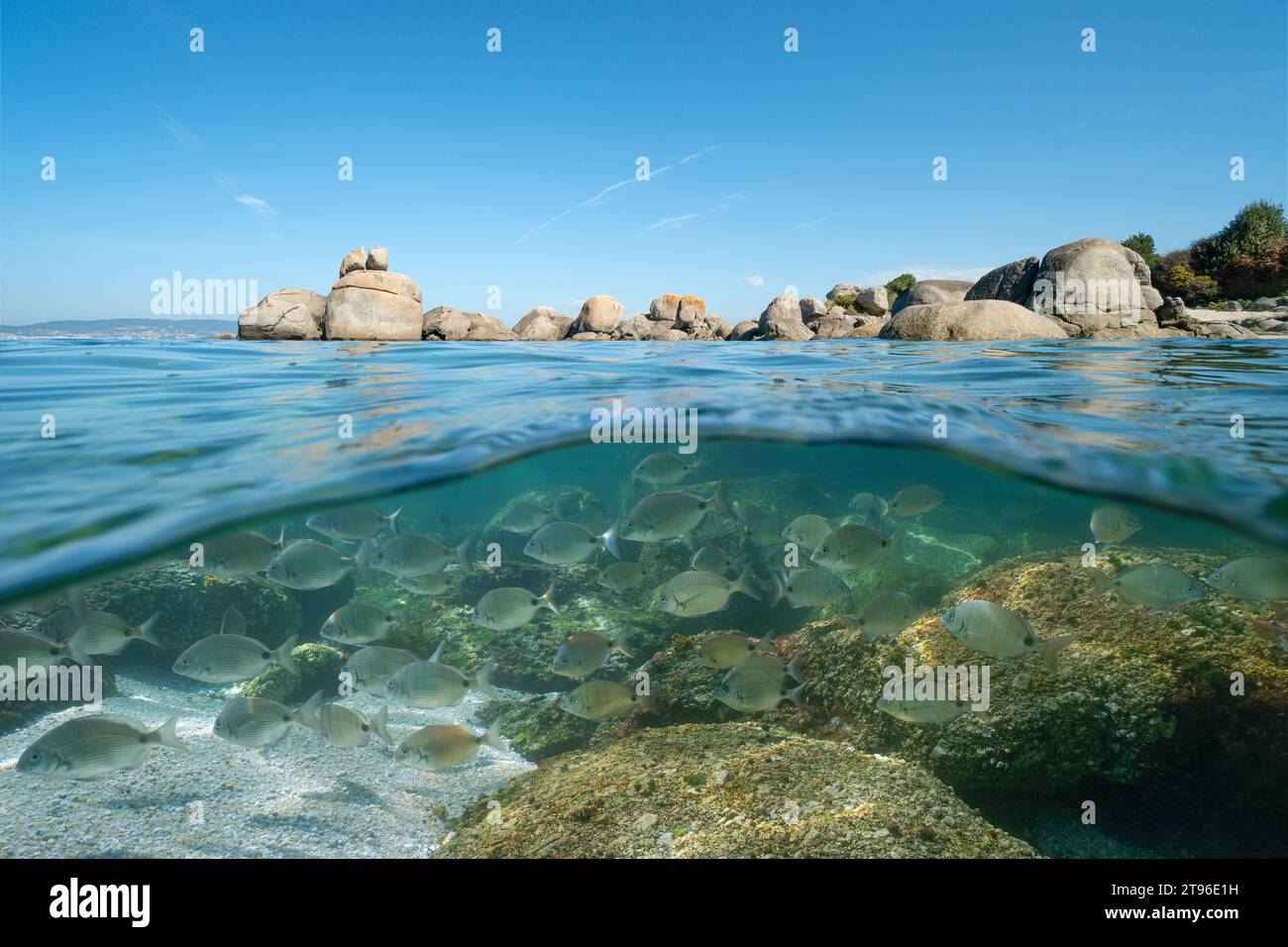 Küste mit Felsbrocken und einer Fischschwärme unter Wasser, Atlantik Meereslandschaft, natürliche Landschaft, geteilter Blick über und unter der Wasseroberfläche, Spanien Stockfoto