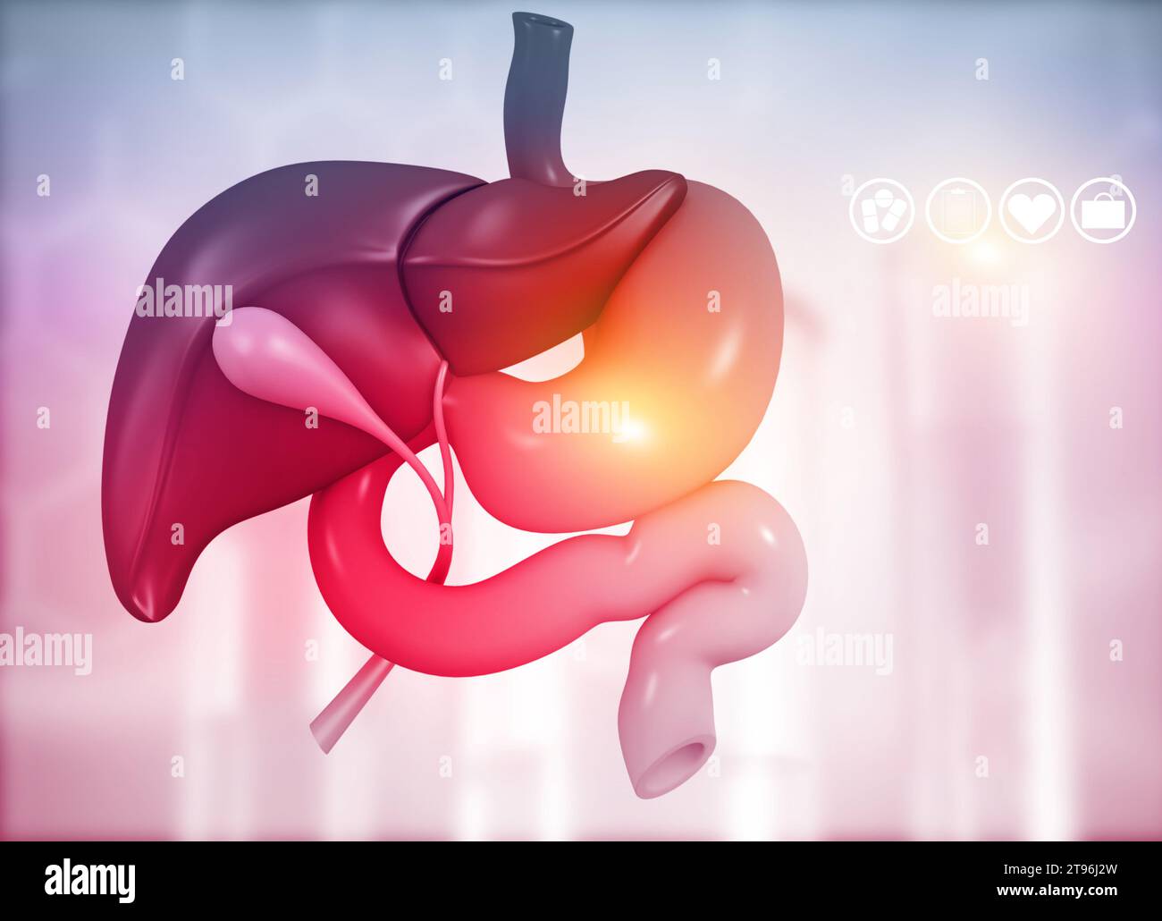 Anantomie der Leber-Magen-Pankreas-Gallenblase und Milz auf medizinischem Hintergrund. 3D-Abbildung Stockfoto