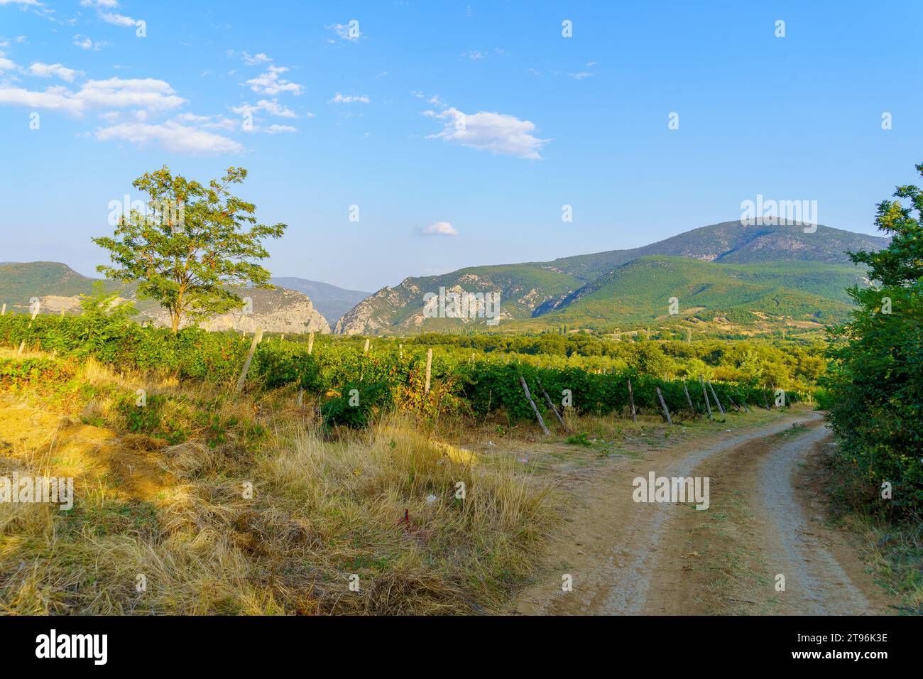 Blick auf die Landschaft mit Weinbergen und Bergen, in der Nähe von Demir Kapija, Nordmazedonien Stockfoto