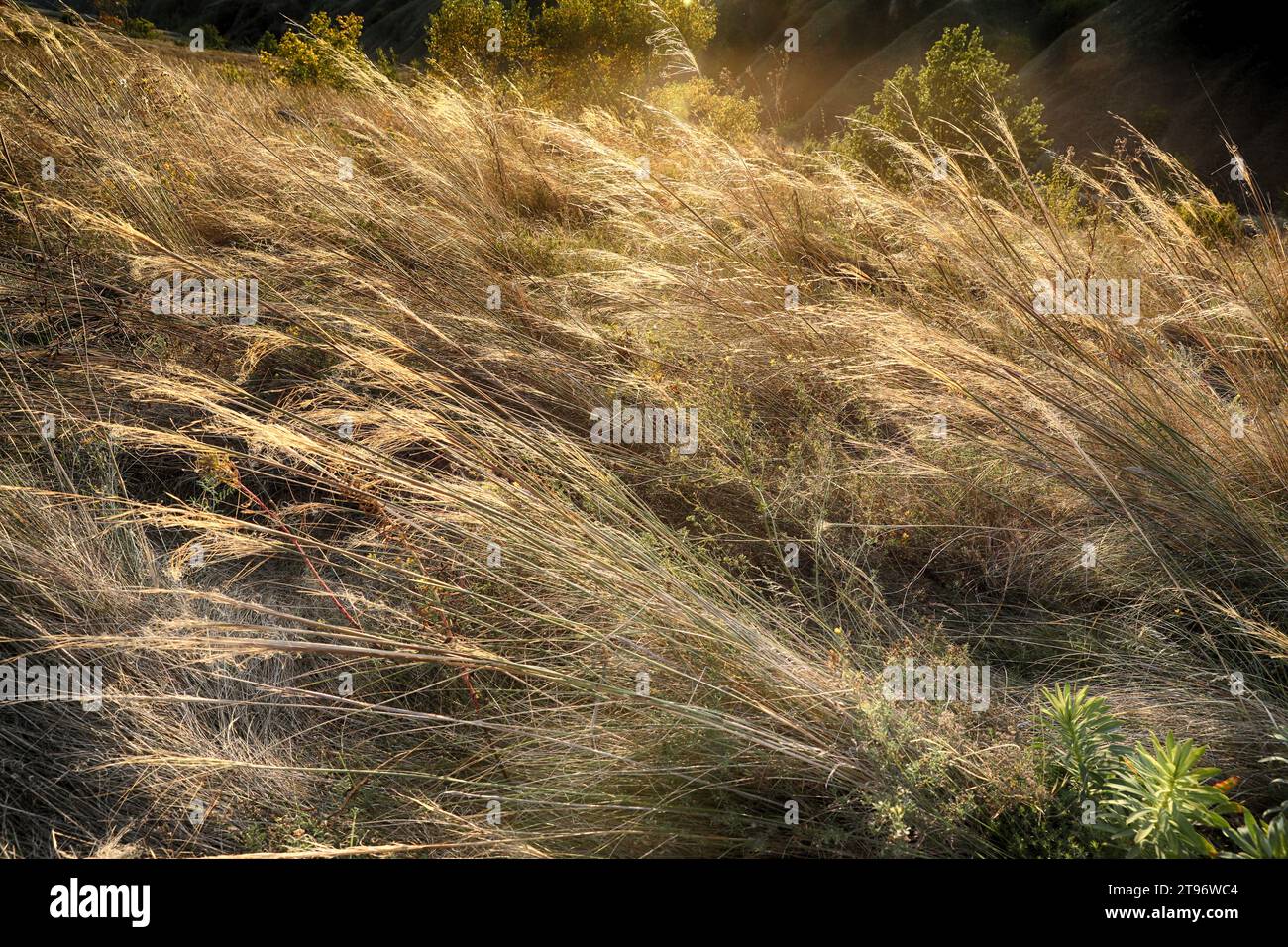 Sonniger Herbsttag im Park nahe dem Fluss in Dnipro Stadt Stockfoto