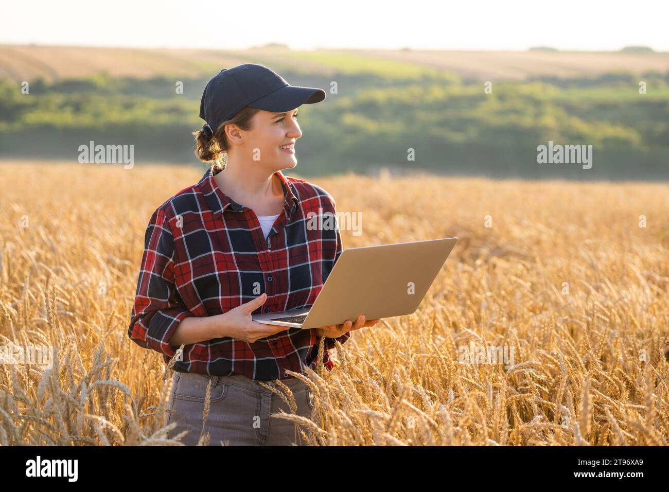 Eine Farmerin, die mit einem Laptop auf einem Weizenfeld arbeitet. Intelligente Landwirtschaft und digitale Landwirtschaft. Stockfoto