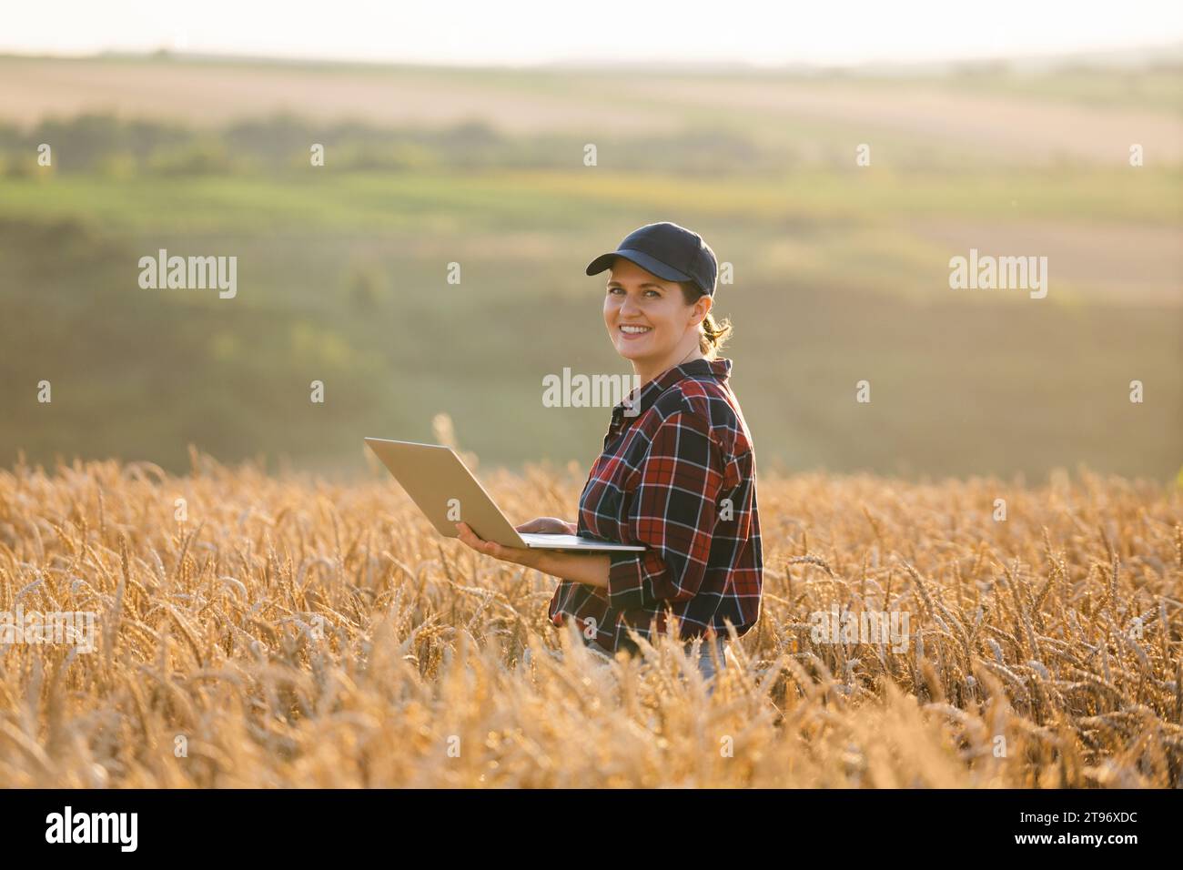 Eine Farmerin, die mit einem Laptop auf einem Weizenfeld arbeitet. Intelligente Landwirtschaft und digitale Landwirtschaft. Stockfoto