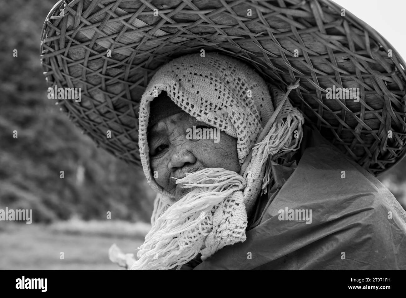 Eine arbeitende Farmwoman in Vietnam Stockfoto