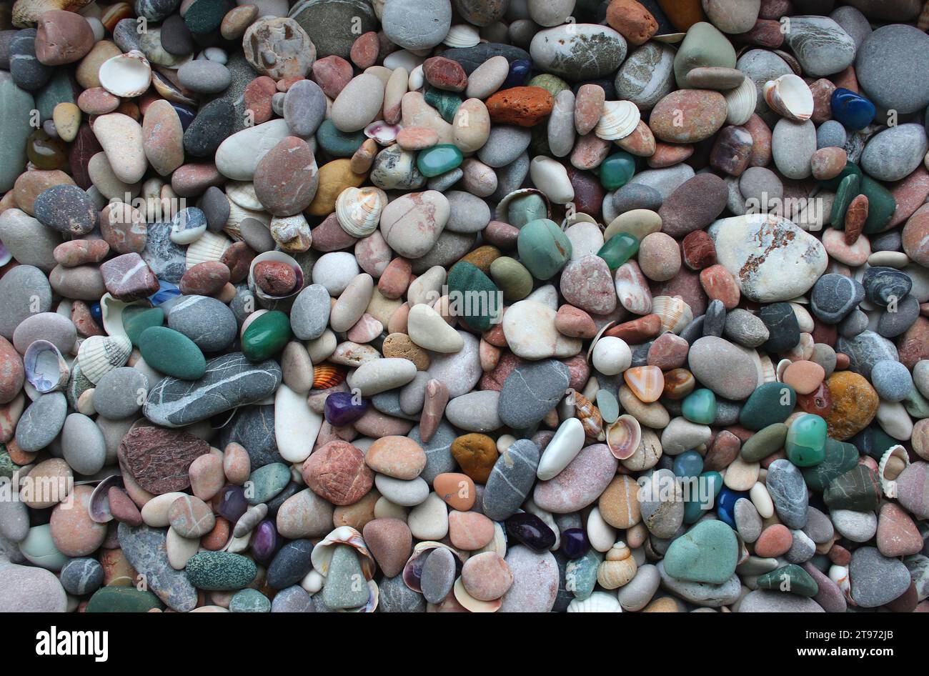 Kleine glatte Kieselsteine, durchscheinende farbige Mineralien und Hintergrund mit Muschelstruktur Stockfoto