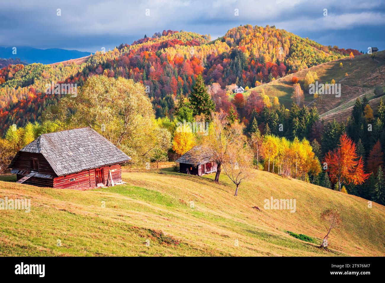 Karpaten. Schöne herbstliche Farben malerische Landschaft in Moeciu, Rucar-Bran touristische Region Rumänien. Stockfoto