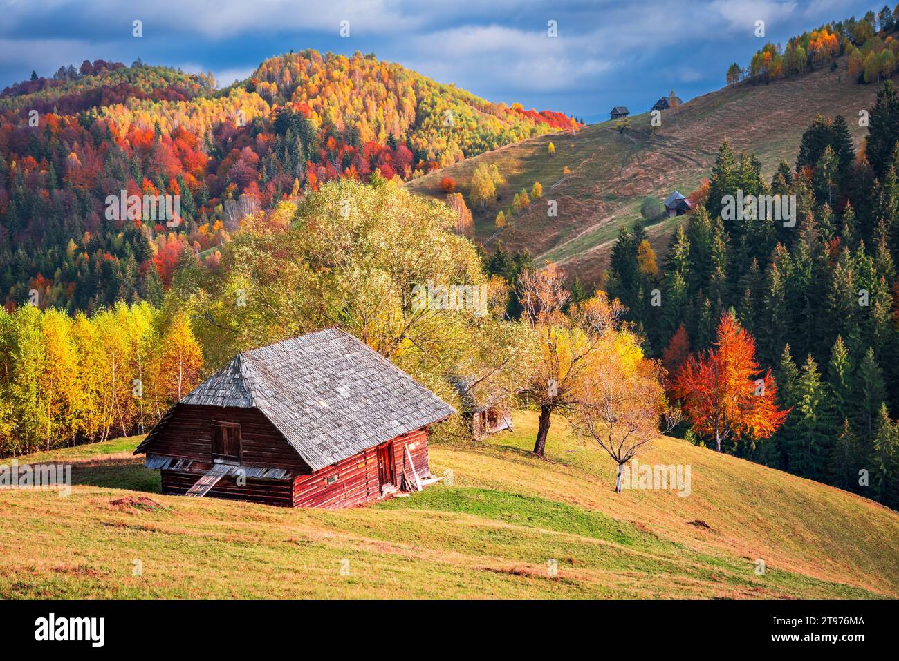 Karpaten. Schöne herbstliche Farben malerische Landschaft in Moeciu, Rucar-Bran touristische Region Rumänien. Stockfoto