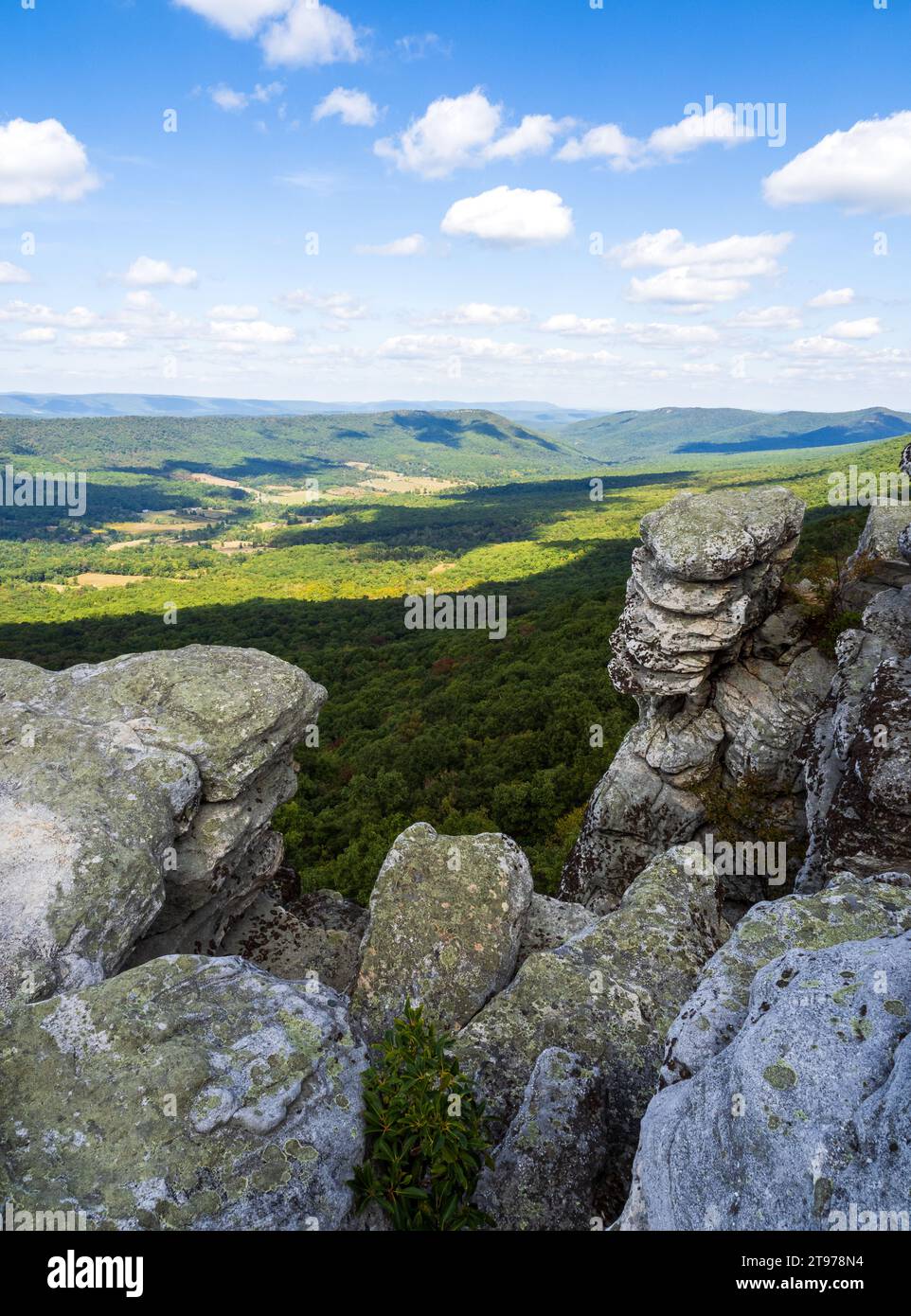 Die ungezähmte Schönheit der Wildnis offenbart sich mit bewaldeten Bergen vor einem Hintergrund von Felsen im Vordergrund entlang des Großen Schlosses V Stockfoto