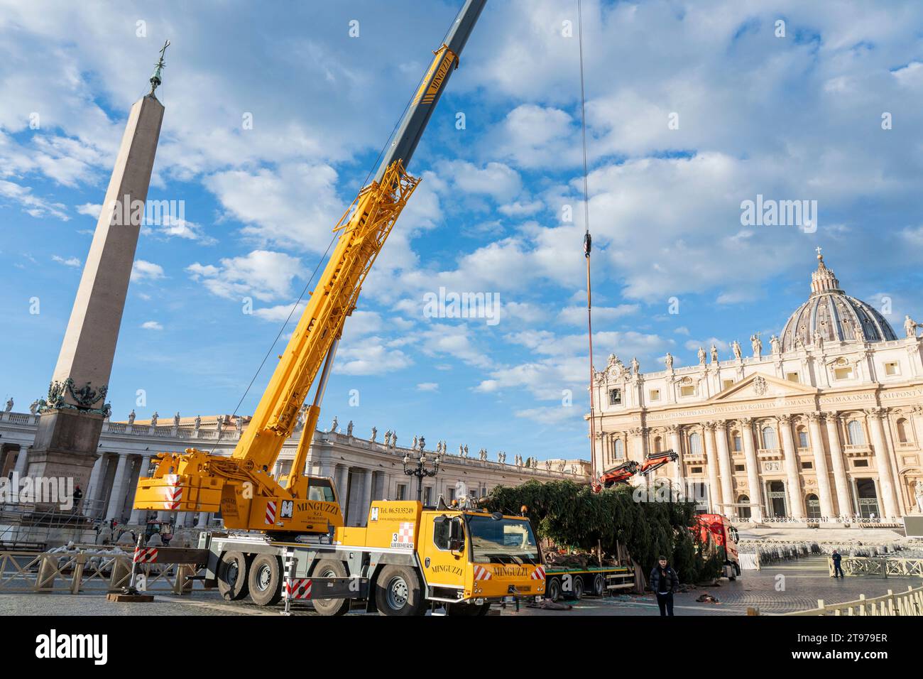 Vatikan, Vatikan. November 2023. Heben und Platzieren des Baumes in St. Petersplatz. Ankunft und Anheben des Weihnachtsbaums, Ankunft aus dem oberen Maira-Tal, in der Gemeinde Macra, in der Diözese Saluzzo und in der Provinz Cuneo, Italien, in St. Petersplatz. (Foto: Stefano Costantino/SOPA Images/SIPA USA) Credit: SIPA USA/Alamy Live News Stockfoto