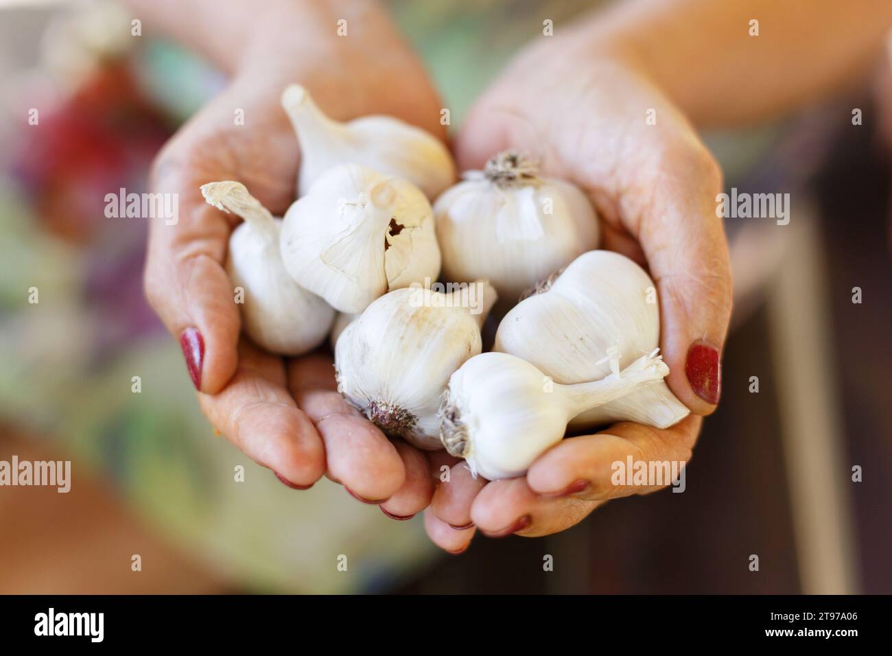 Knoblauch im schnitt Fotos und Bildmaterial in hoher Auflösung Alamy