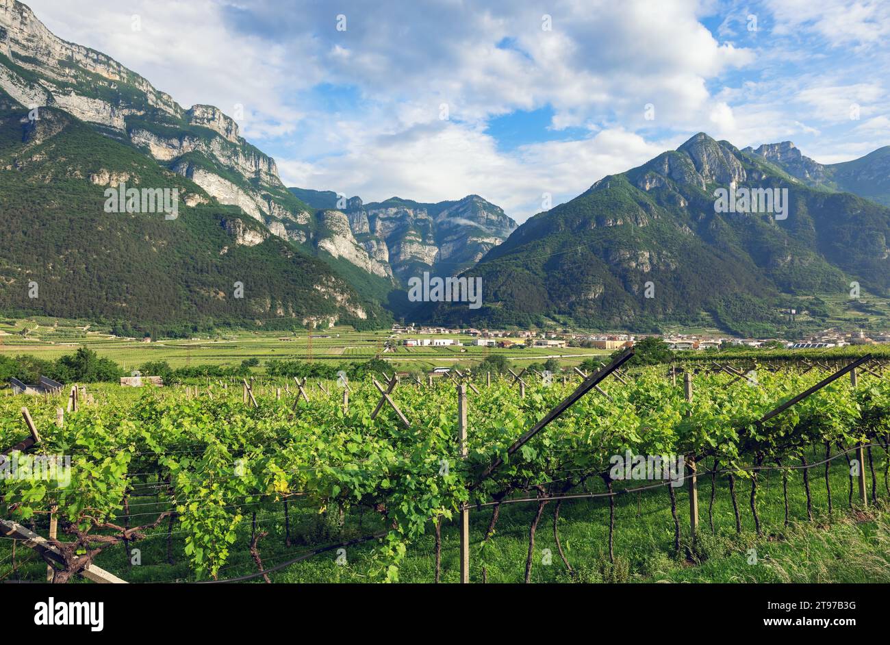 Bergregion in der Region Trient, Norditalien Stockfoto