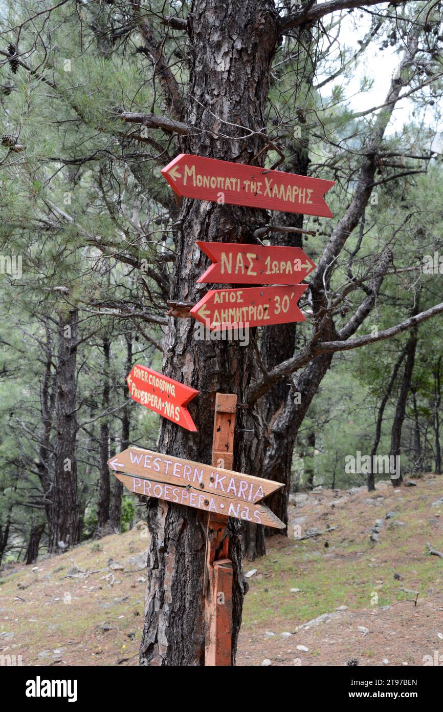 Schilder entlang des Chalaris Canyon Wanderweges im Wald auf der griechischen Insel Ikaria, in der Nähe des Dorfes NAS, Griechenland. Stockfoto