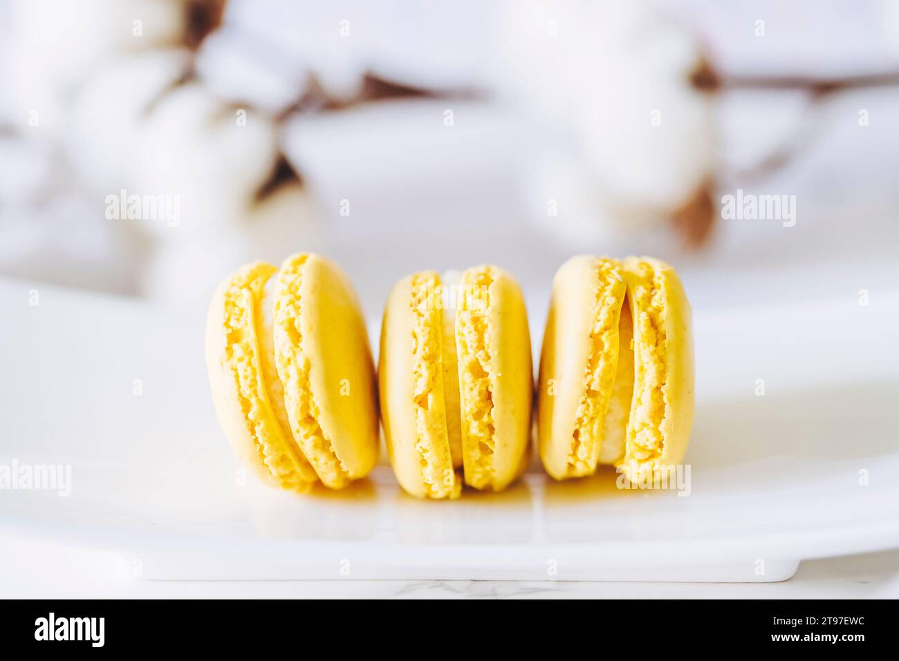 Drei französische Makronen mit Zitronengeschmack Stockfoto
