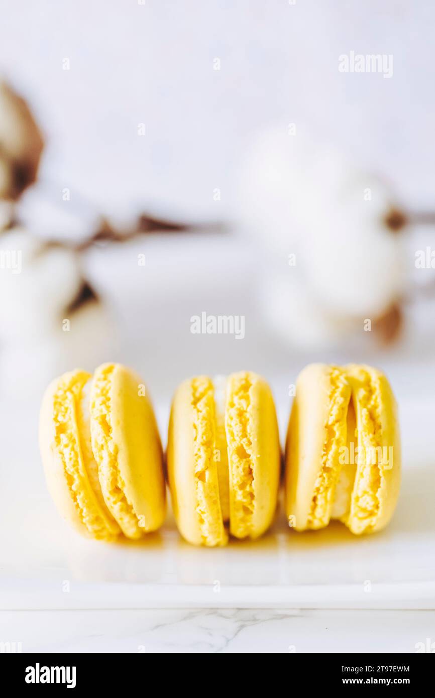 Drei französische Makronen mit Zitronengeschmack Stockfoto