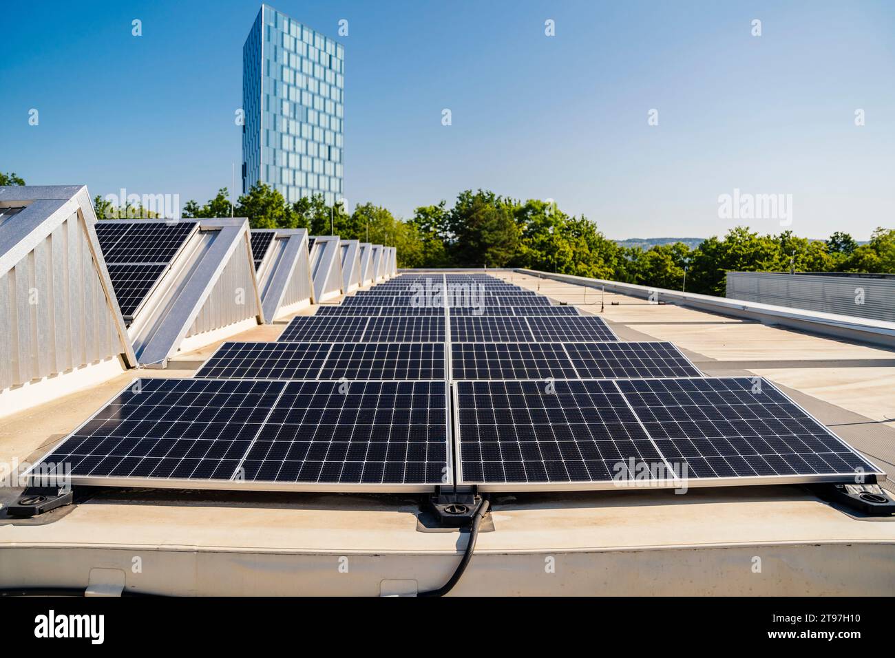 Auf dem Dach installierte Solarpaneele erzeugen unter klarem blauen Himmel saubere Energie Stockfoto
