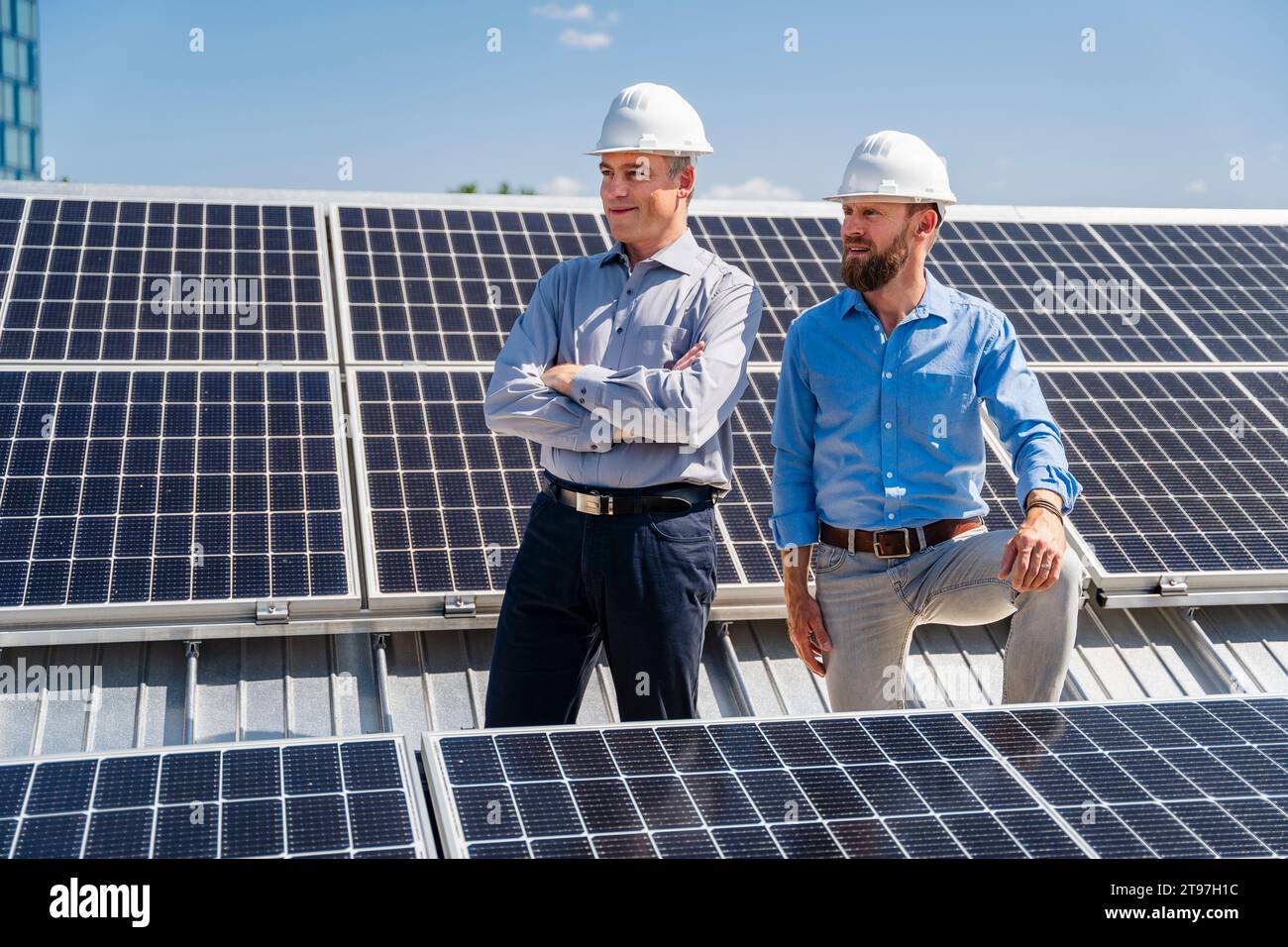 Zwei Geschäftsleute, die Hardhelme tragen, strahlen Vertrauen aus, während sie inmitten eines Feldes von Solarpaneelen stehen Stockfoto