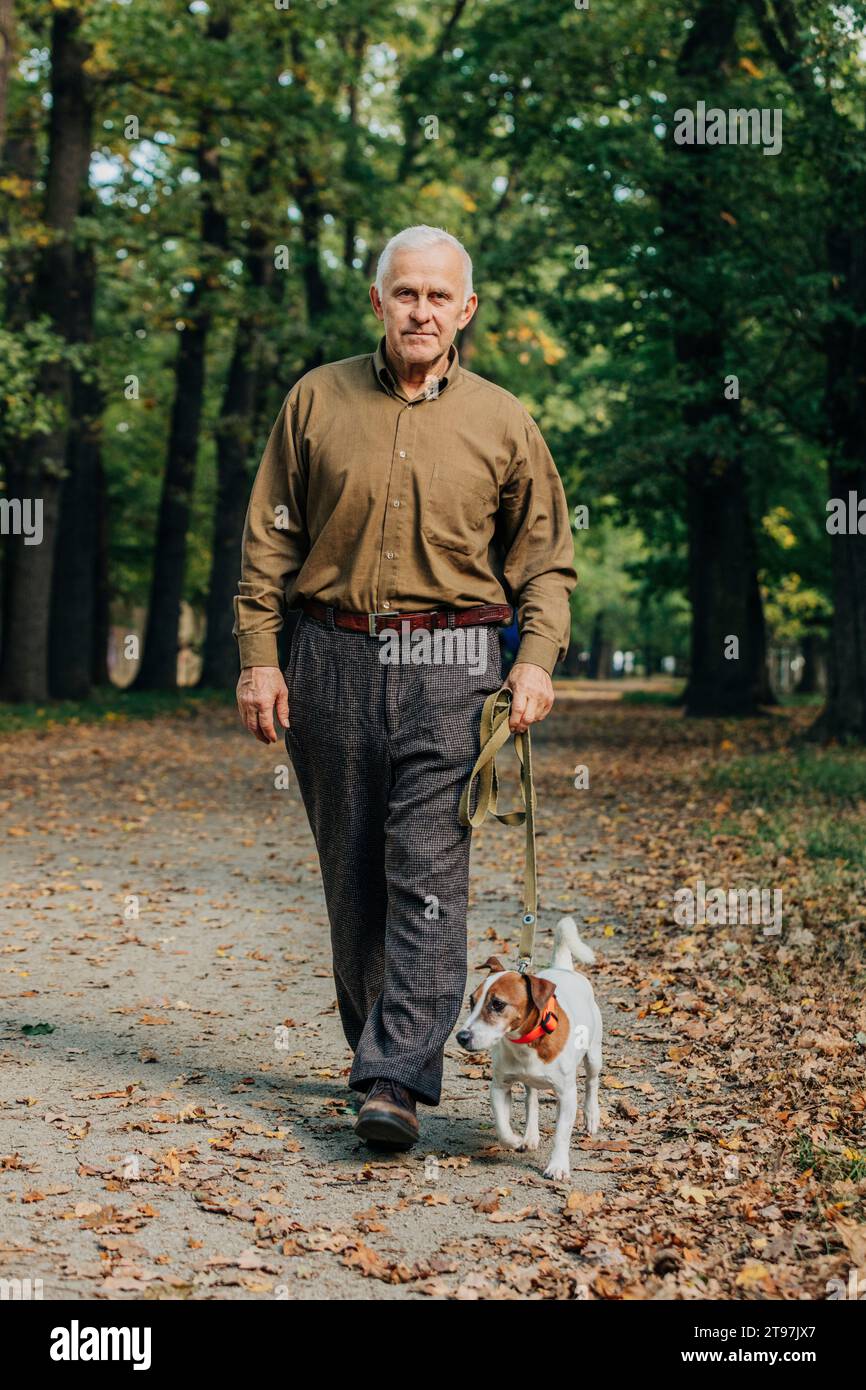 Senior Mann, der mit Jack Russell Terrier Hund im Park läuft Stockfoto