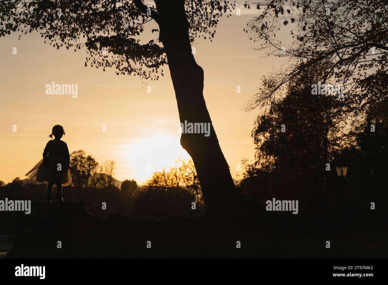 Silhouette eines Mädchens, das bei Sonnenuntergang unter dem Baum steht Stockfoto
