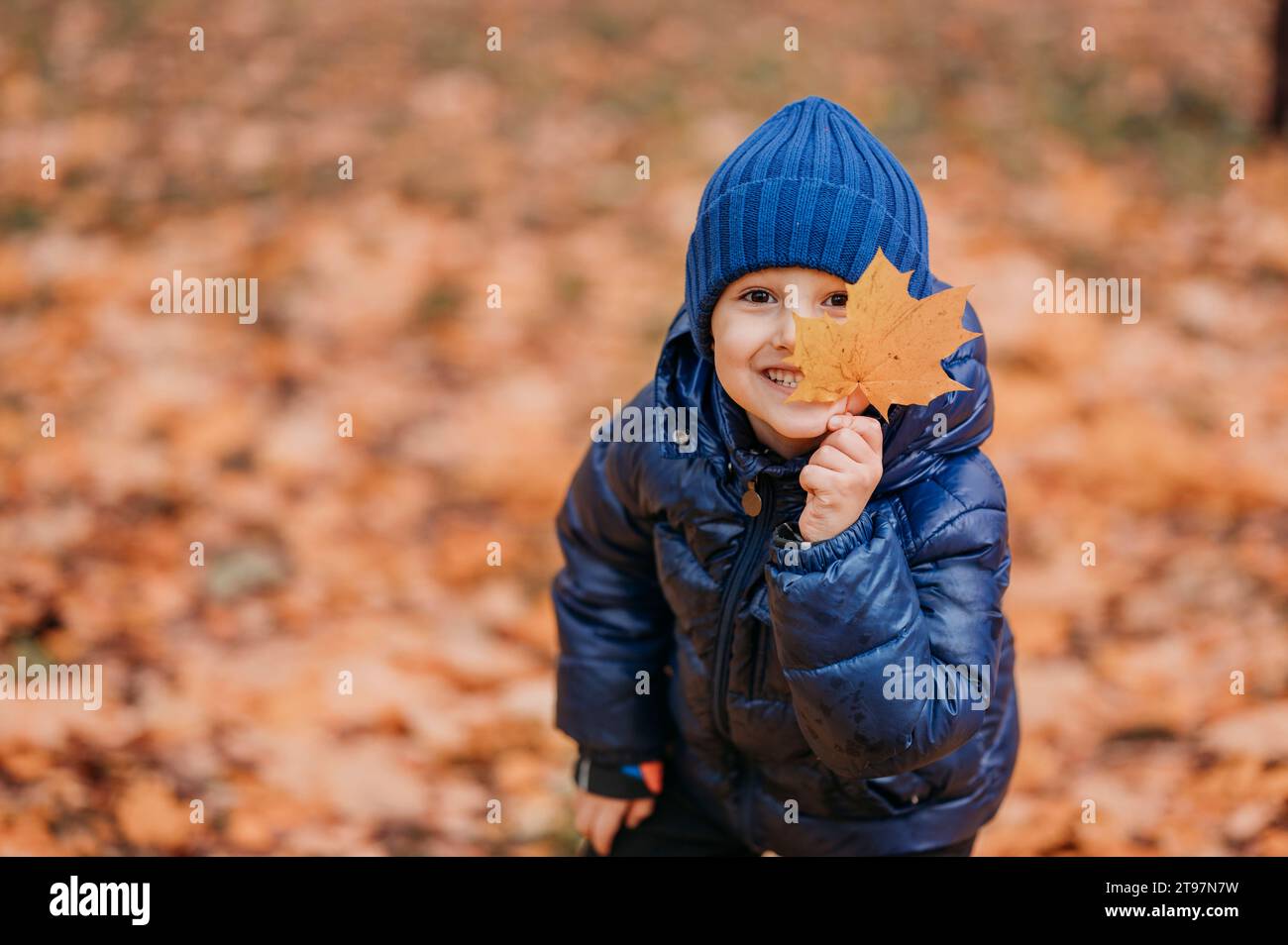 Süßer Junge, der Ahornblatt in der Nähe des Herbstparks hält Stockfoto
