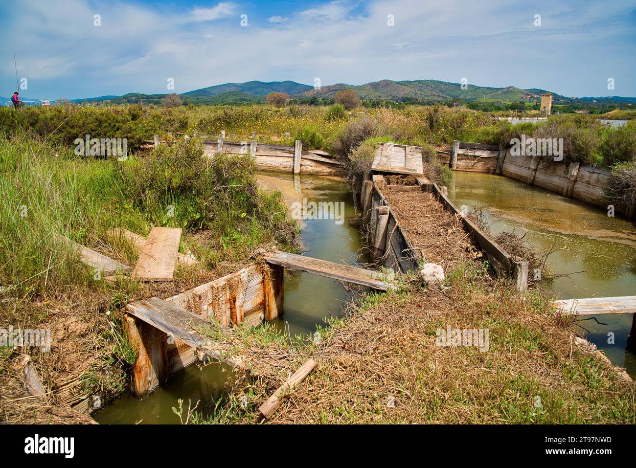 les anciens salins et marais salants d'Hyères dans le var - die alten Salinen und Salzwiesen von Hyères im Departement VAR Stockfoto