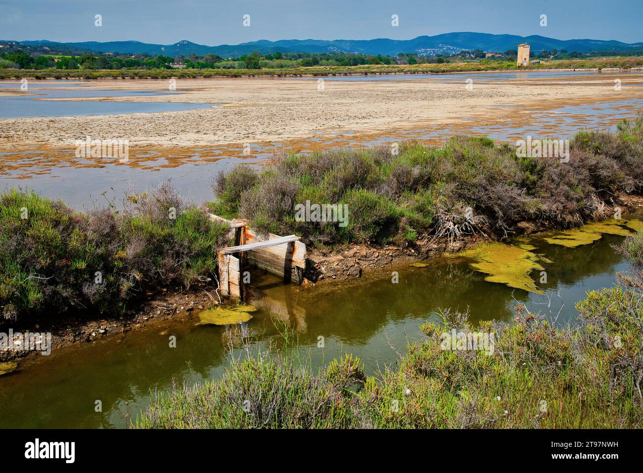 les anciens salins et marais salants d'Hyères dans le var - die alten Salinen und Salzwiesen von Hyères im Departement VAR Stockfoto