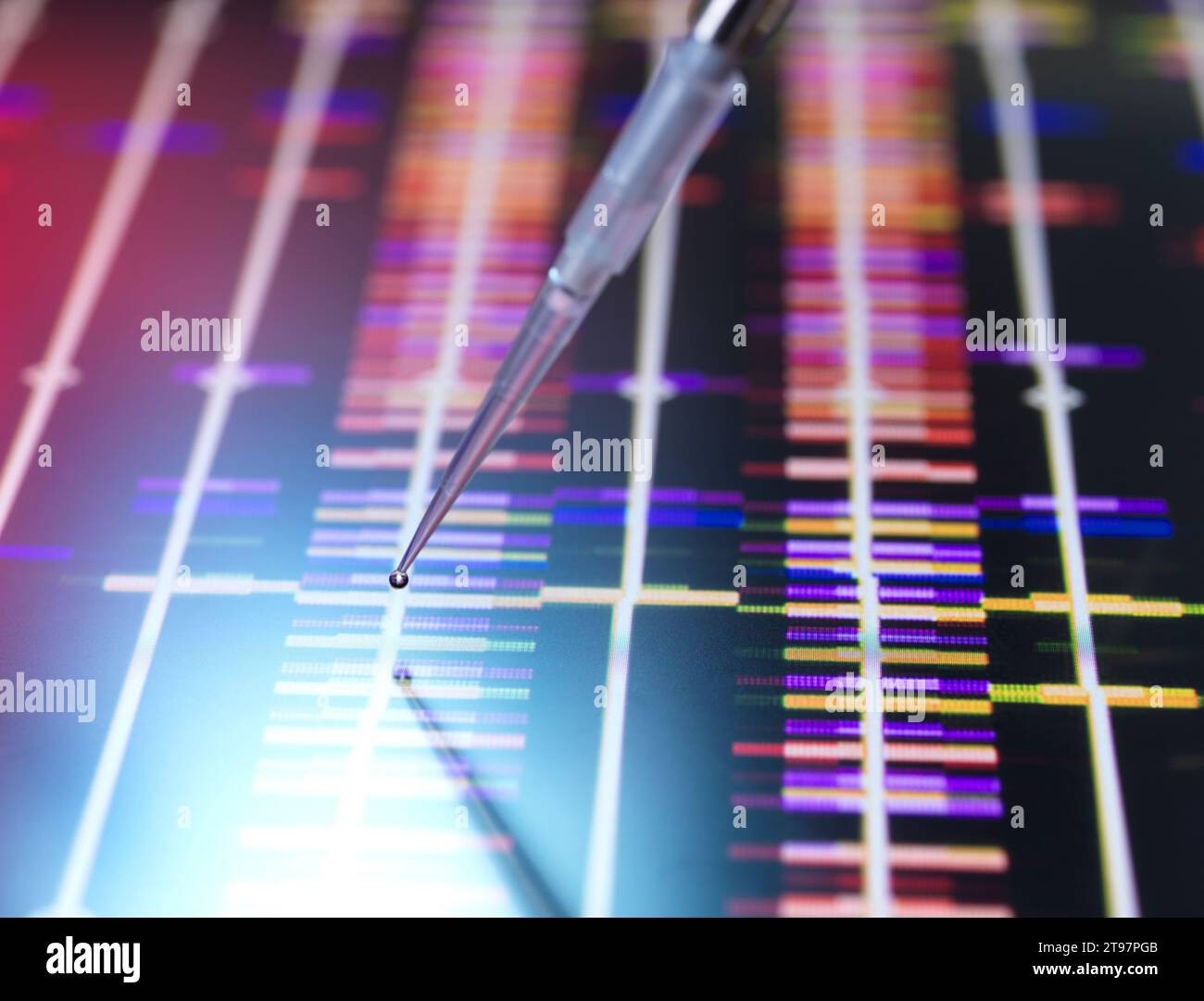 Tropfen der DNA-Probe durch Pipette über Forschungsdaten Stockfoto