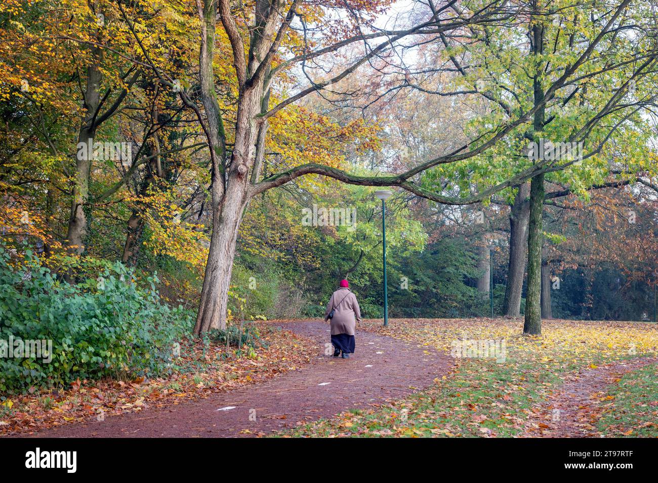 muslime mit rotem Kopftuch spaziert durch den farbenfrohen Herbstpark in der Nähe von utrecht in den niederlanden Stockfoto