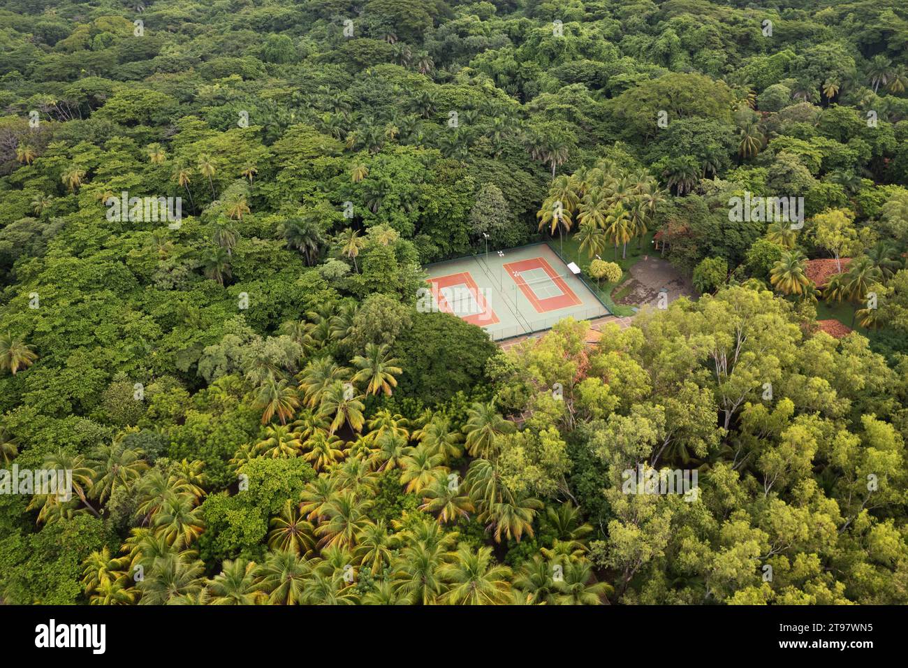 Leerer Tennisplatz um grüne Palmen aus der Luft mit Blick auf die Drohne Stockfoto