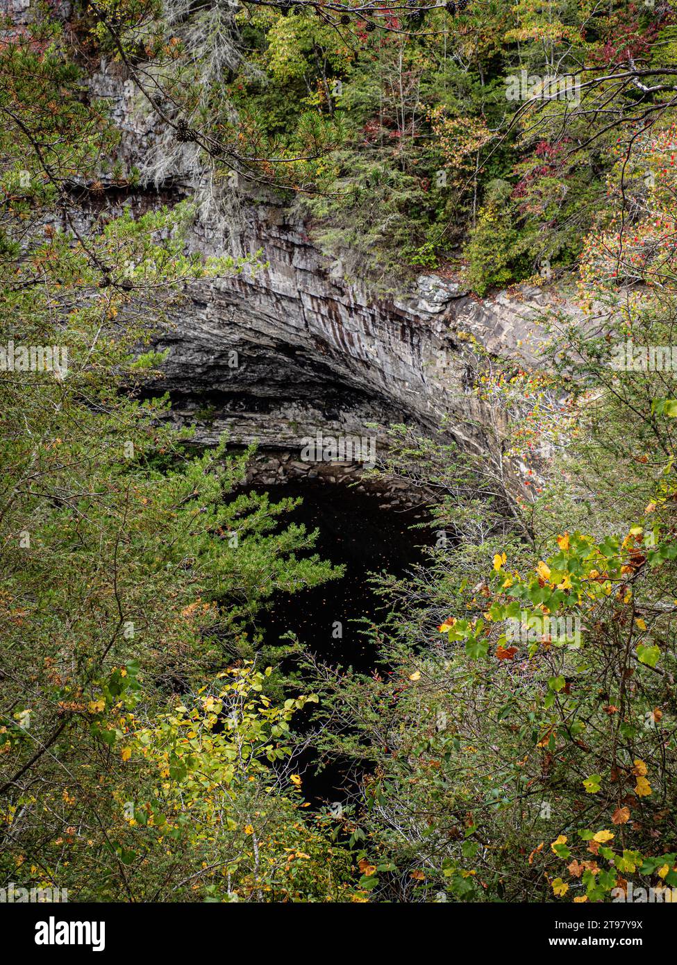 Blick auf den Foster Falls Pool von oben, Tennessee, USA Stockfoto