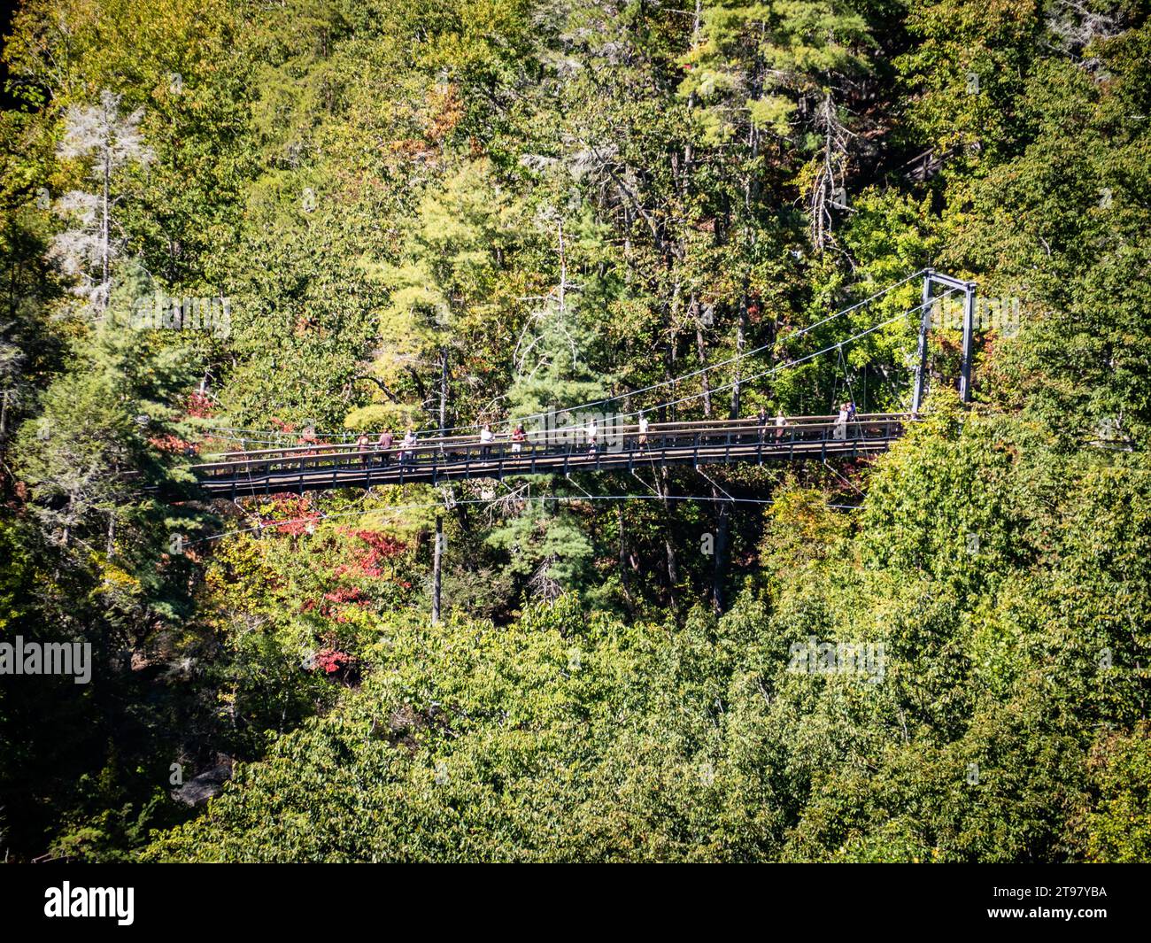 Tallulah Gorge and Bridge, Tallulah Falls, Georgia, USA Stockfoto