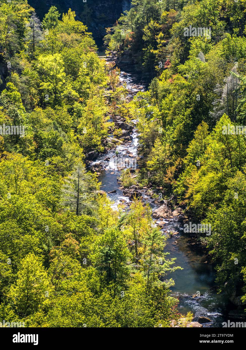 Tallulah Gorge and Bridge, Tallulah Falls, Georgia, USA Stockfoto