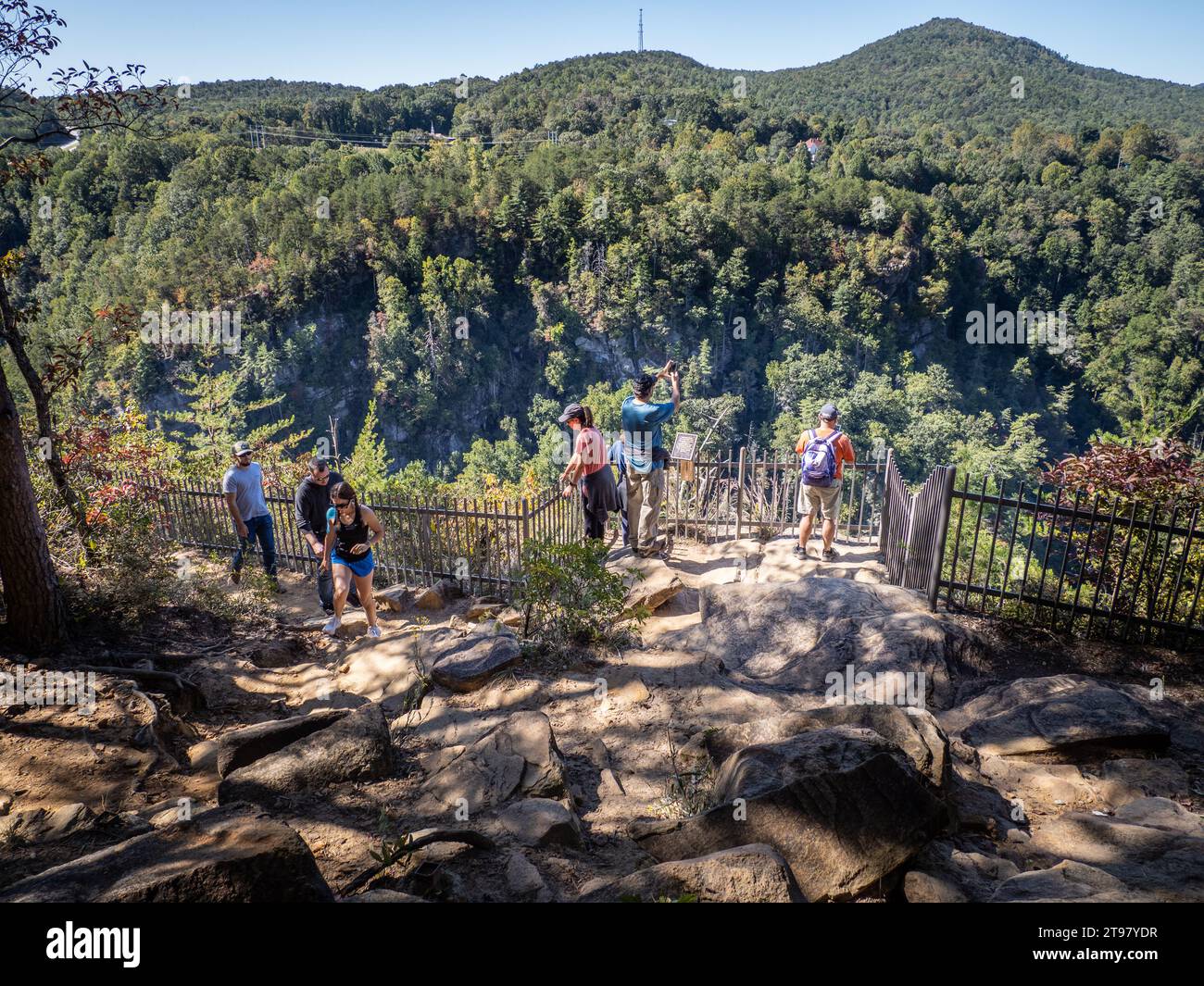 Tallulah Gorge and Bridge, Tallulah Falls, Georgia, USA Stockfoto
