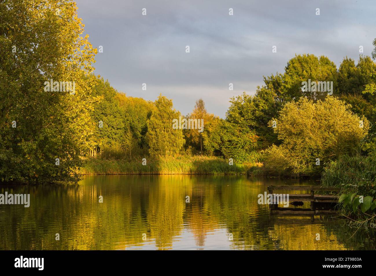 Herbst am Mouldon Lake Stockfoto
