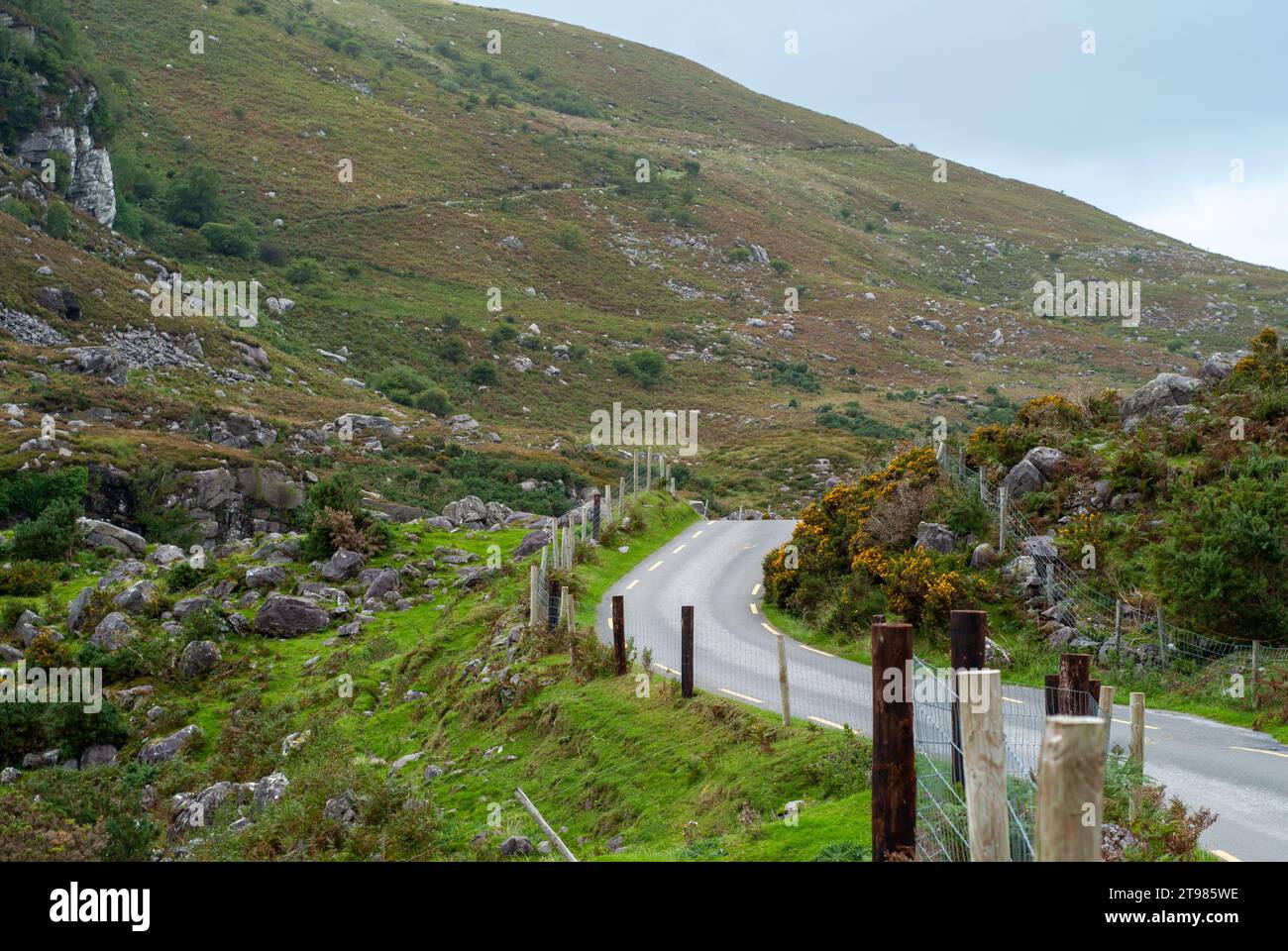 Killarney National Park, Irland, 2022 Stockfoto