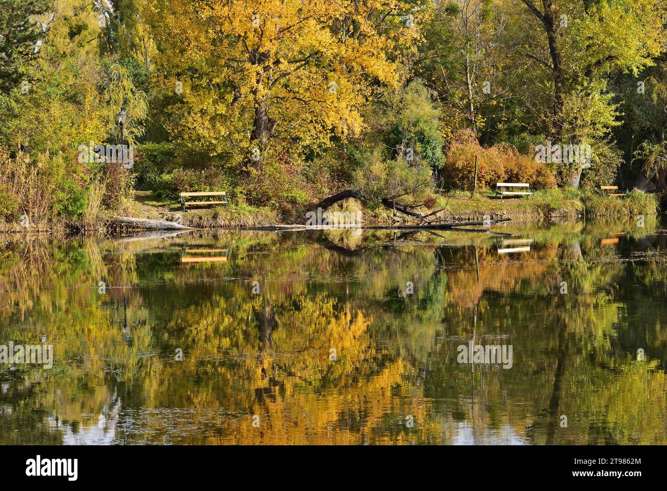 Herbstfarben im Floridsdorfer Wasserpark, Wien, Österreich Stockfoto