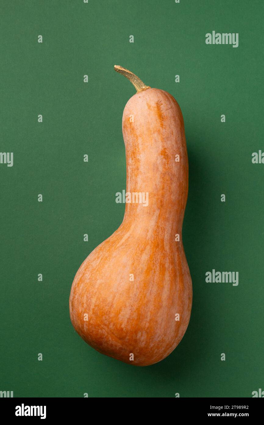 Ganz reifer süßer Butternusskürbis auf grünem Hintergrund, Draufsicht. Orangefarbener Kürbis in Form einer Flasche. Stockfoto