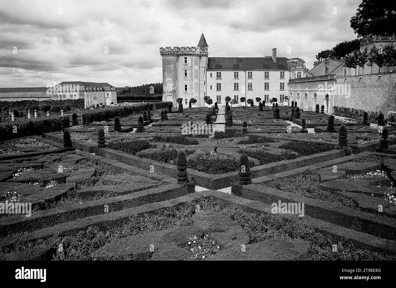 Frankreich, Loire: Schloss Villandry Stockfoto