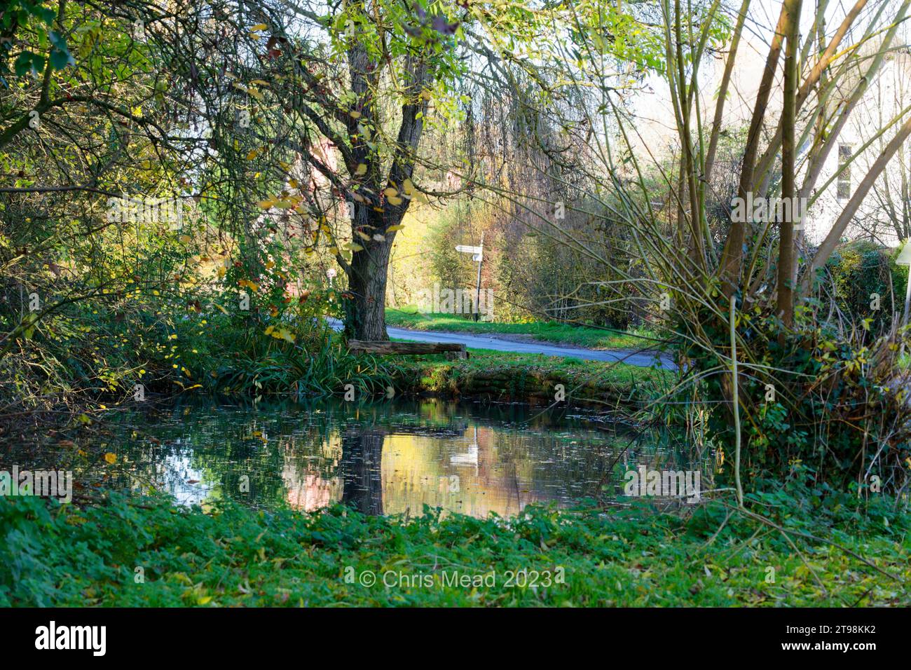 Herbst in England: Grüner Herbst Stockfoto