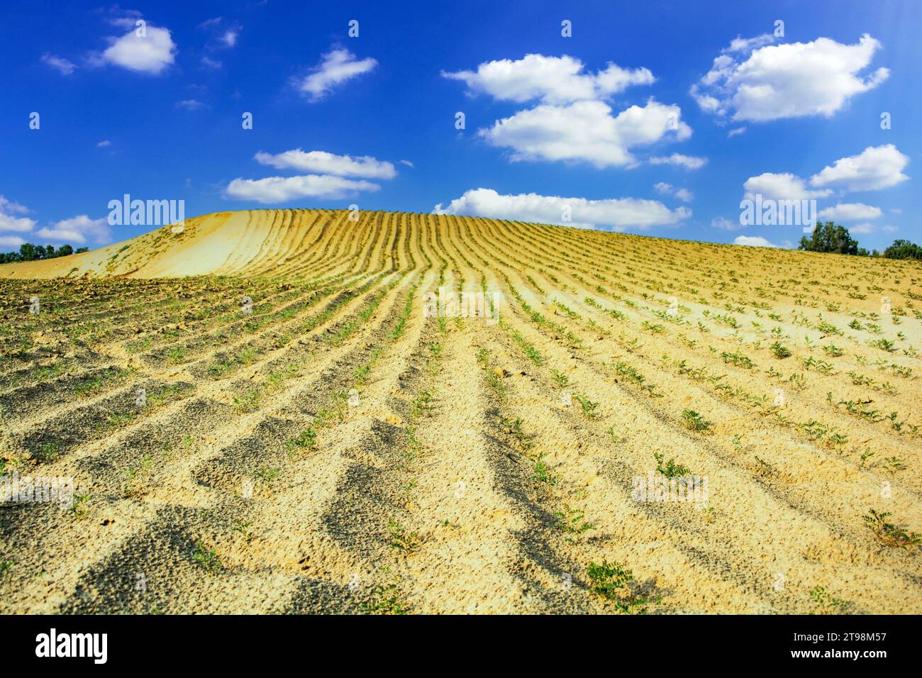 Wolken über der gepflügten Wüste Stockfoto