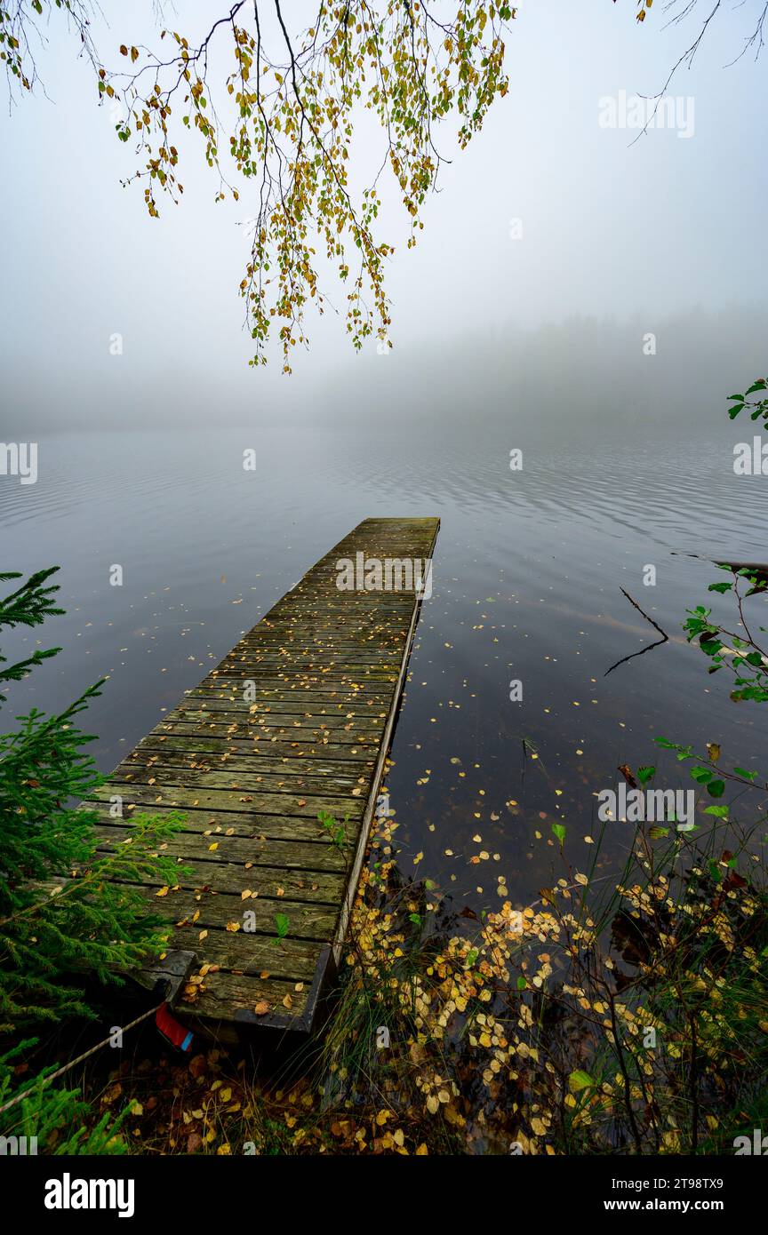 Steg mit Herbstlaub am Ufer des Sees in Schweden Stockfoto