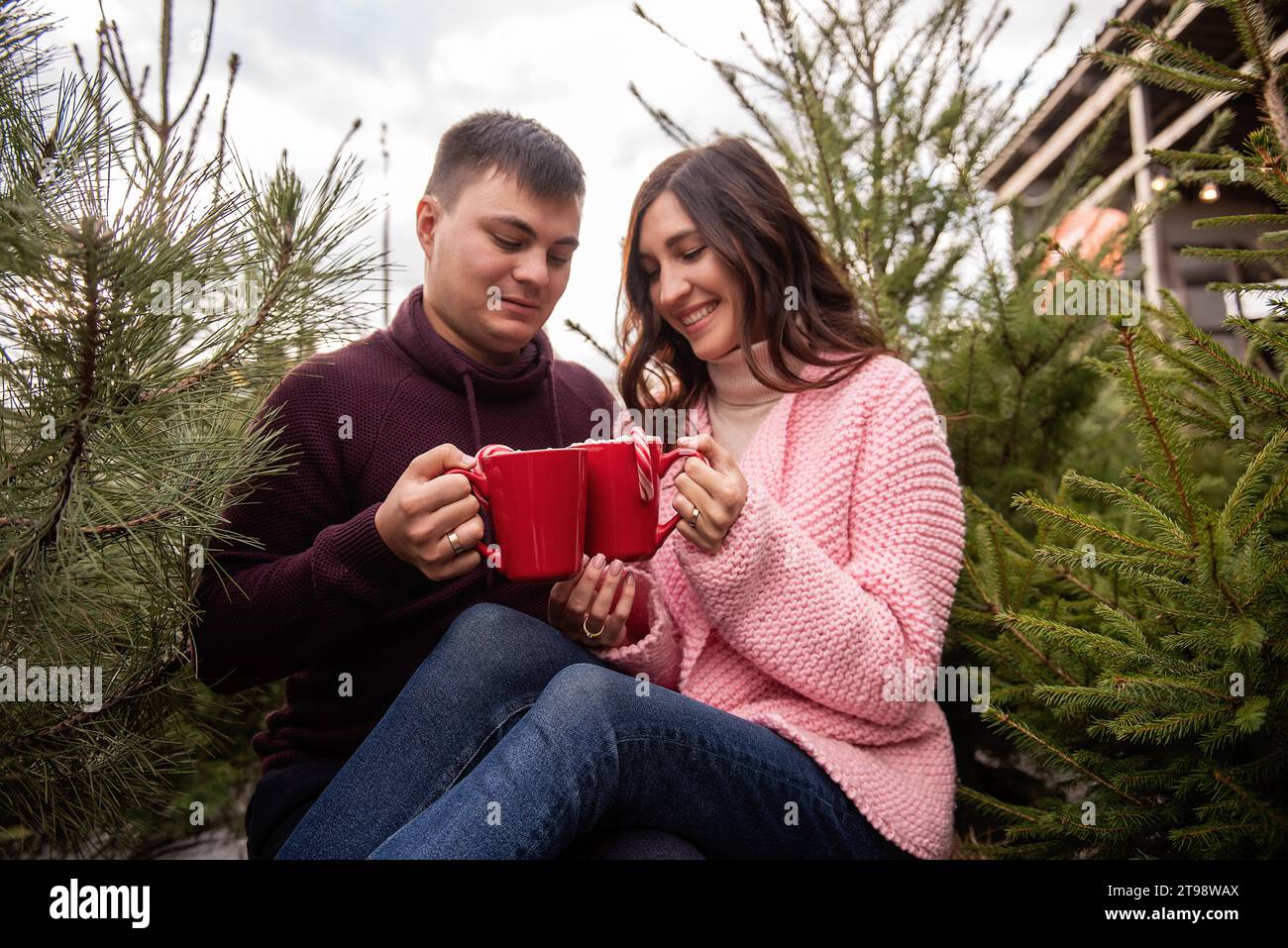 Liebespaare in Strickpullover sitzen zwischen grünen Kiefern, Tannen und Weihnachtsbaummarkt. Junger Mann und Frau trinken heißen Kakao aus roten Tassen mit Stockfoto