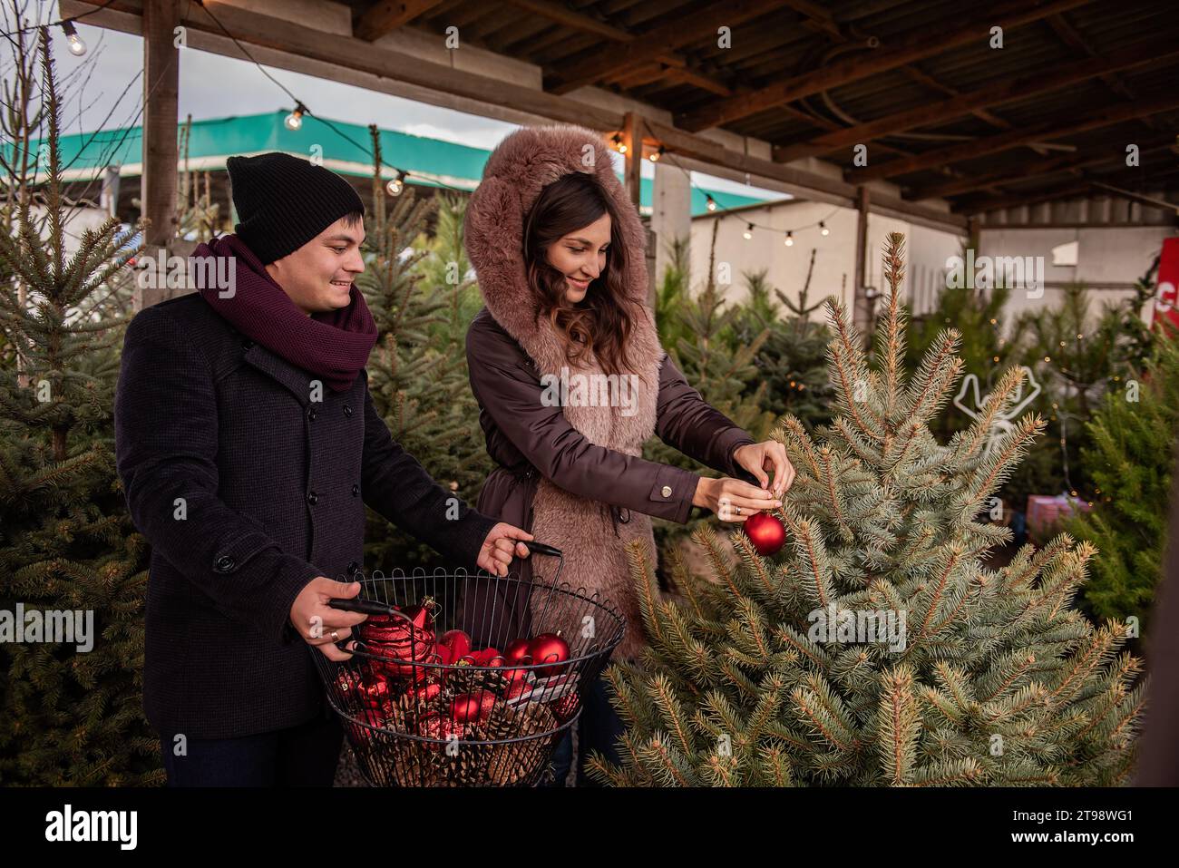 Lustiges Paar schmückt Weihnachtsbäume auf dem Markt mit roten Kugeln. Junge Männer und Frauen hängen Spielzeug an Tannenbäumen im Garten des Hinterhofs auf, um gemütlich und festlich zu gestalten Stockfoto