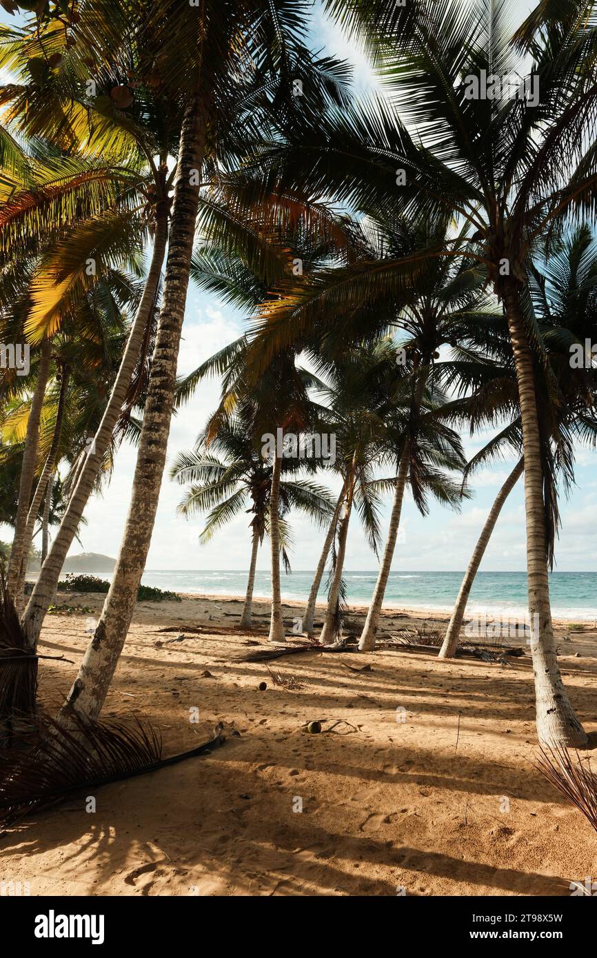 Sommerurlaub An Den Stränden Von Las Terrenas Stockfoto