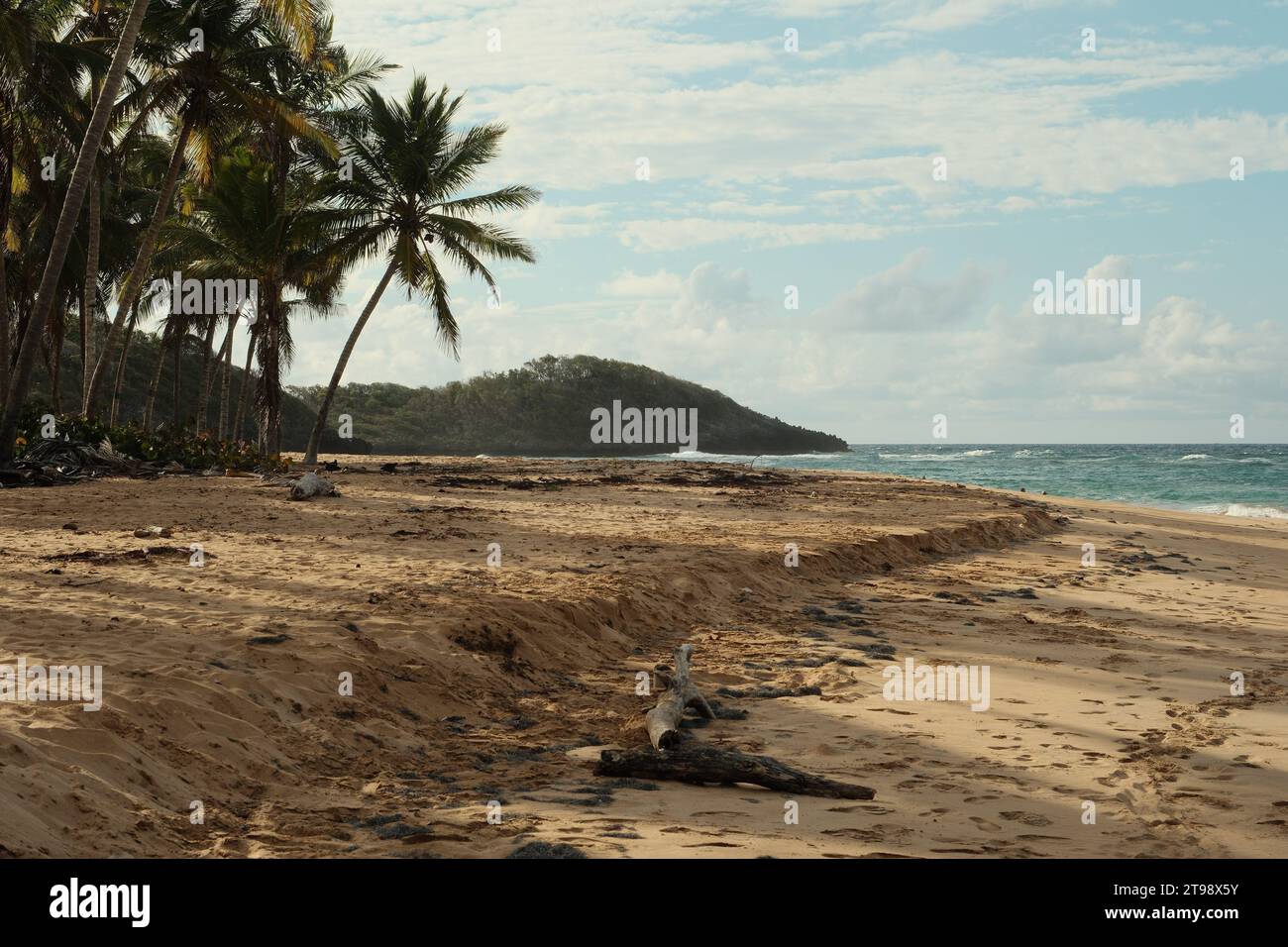 Sommerurlaub An Den Stränden Von Las Terrenas Stockfoto