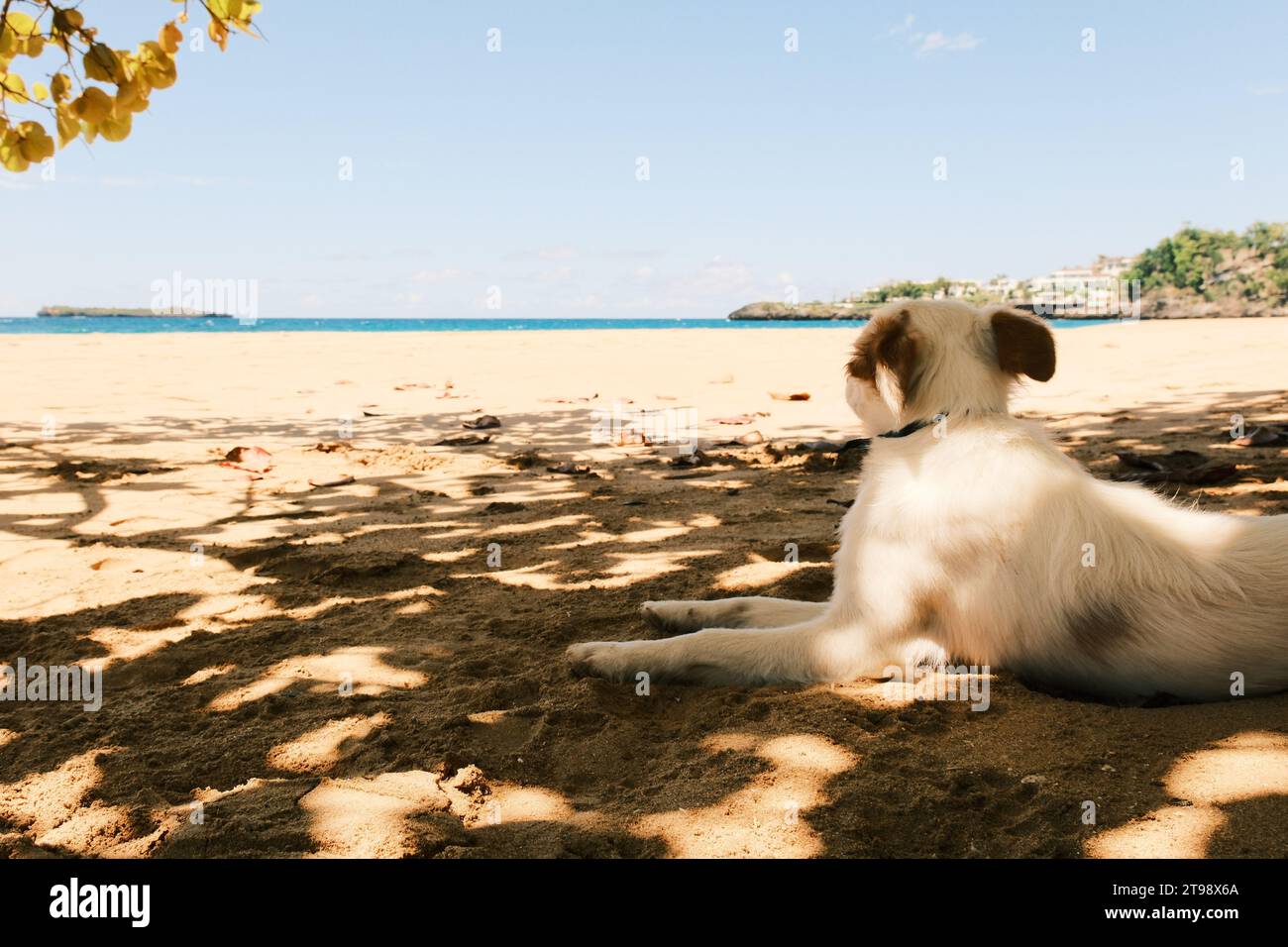 Sommerurlaub An Den Stränden Von Las Terrenas Stockfoto